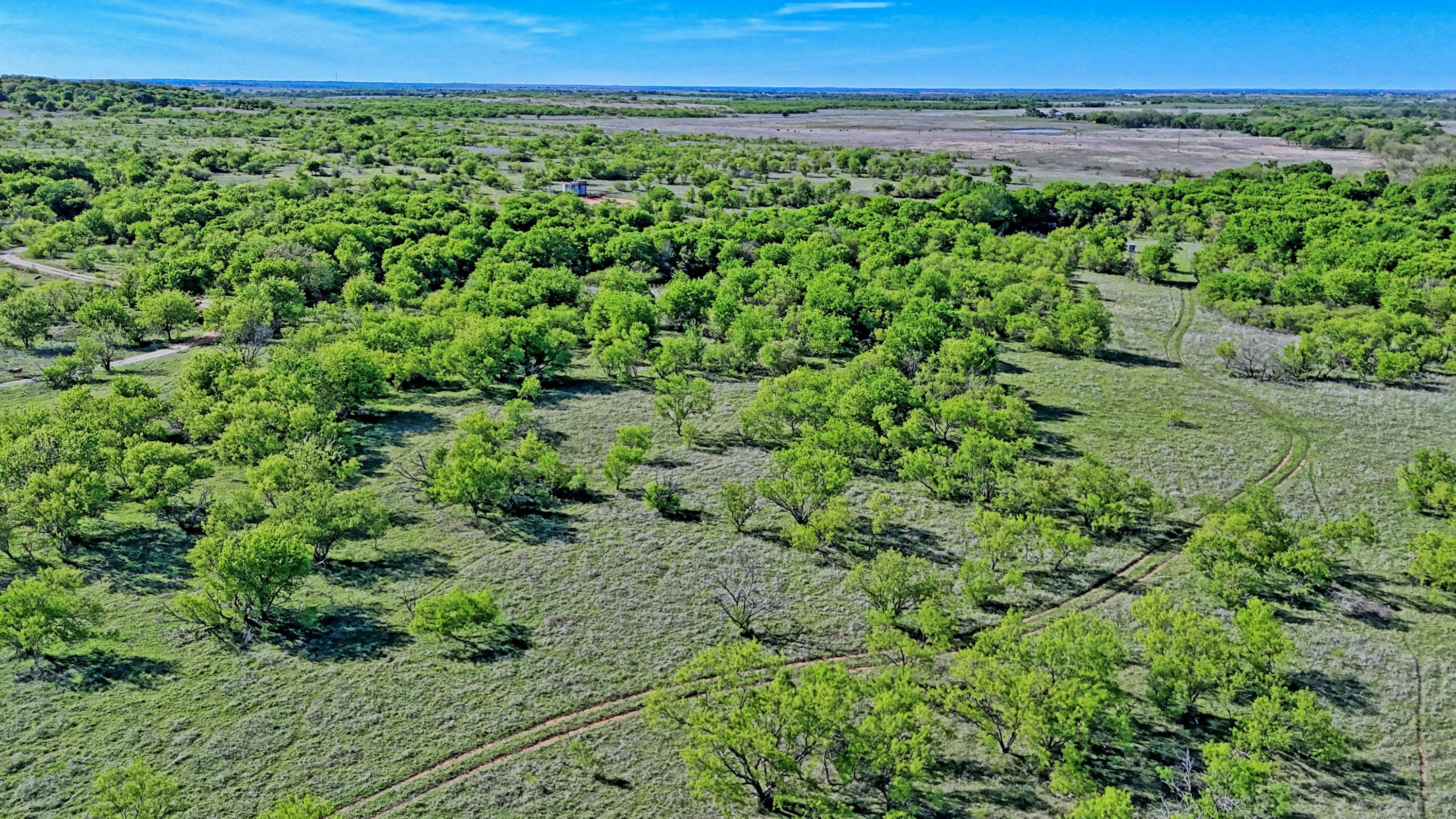  180 +/- Acre Multi-use North Texas Ranch - 物件實景