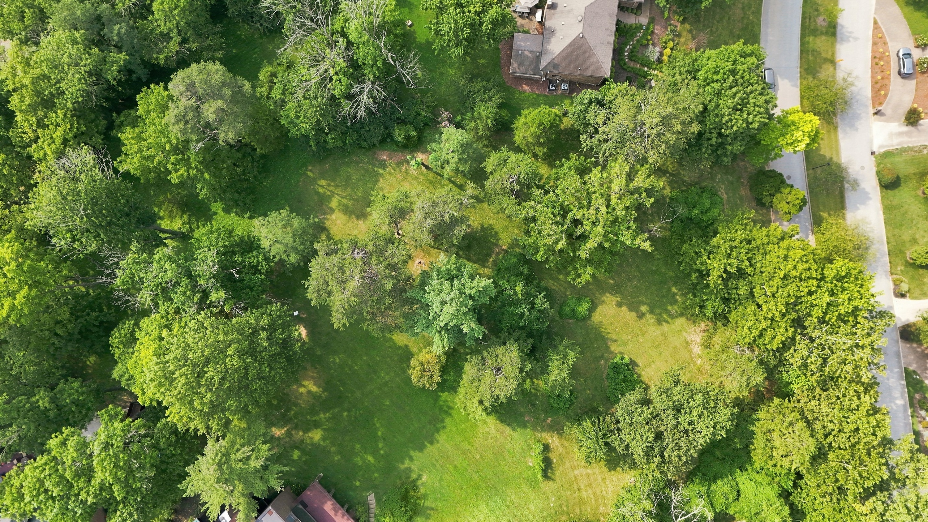  1510 Sylvan Way, Louisville, KY 40205 - 物件實景