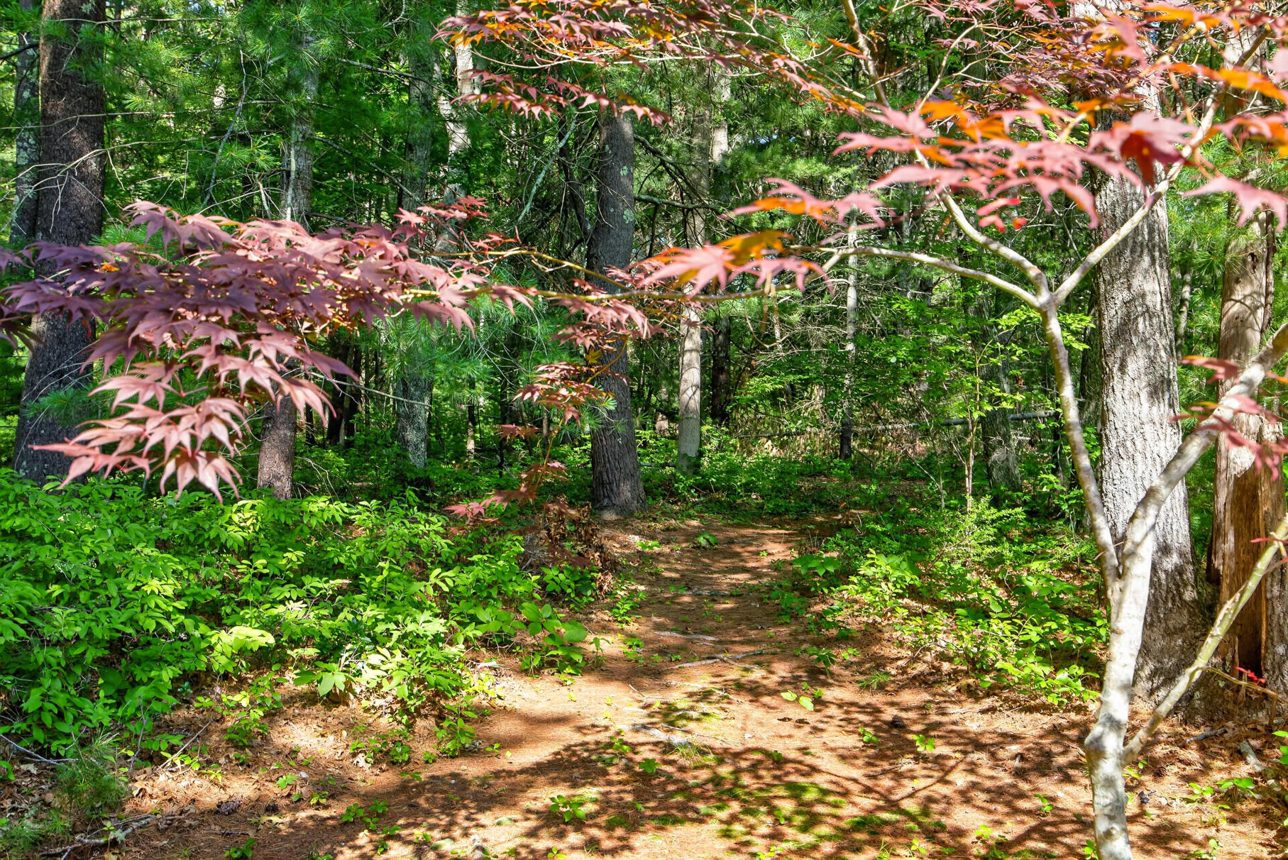  90 Forest Glade UNIT 90 - 物件實景