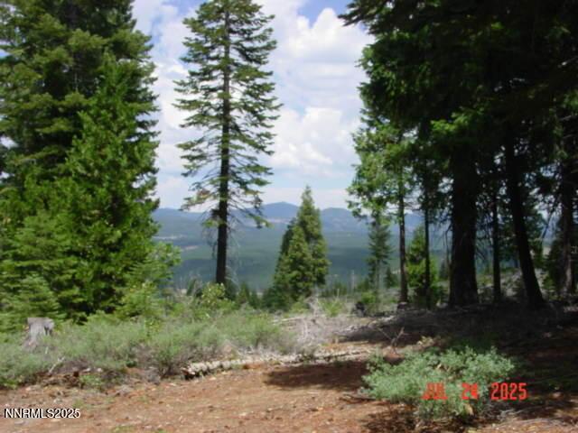 Clio, California, 96106, United States, ,Residential,For Sale,1932823
