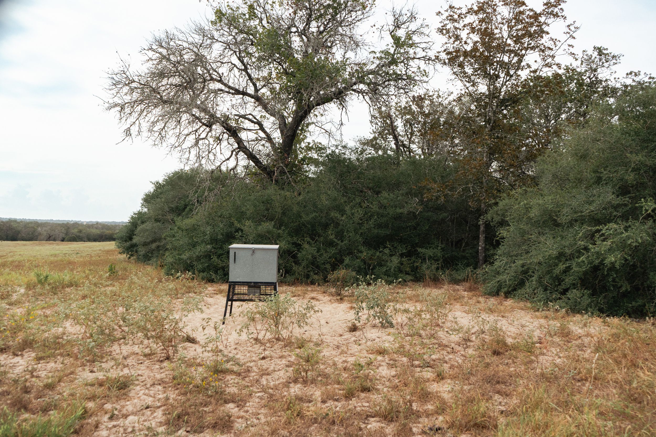  860+/- Acre PQR Ranch in Gonzales County - 物件實景