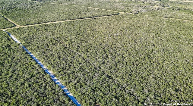 Beeville, Texas, 78102, United States, ,Land,For Sale,1988302