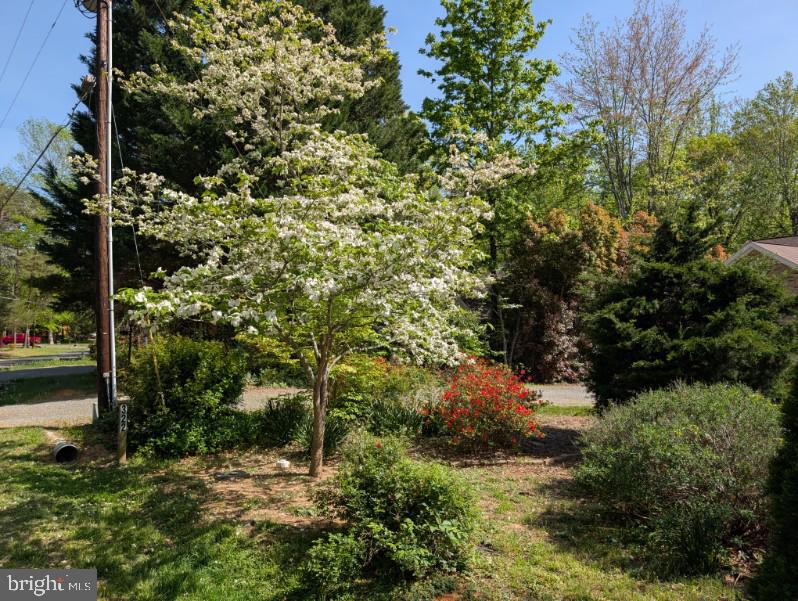Locust Grove, Virginia, 22508, United States, 4 Bedrooms Bedrooms, ,4 BathroomsBathrooms,Residential,For Sale,1810650