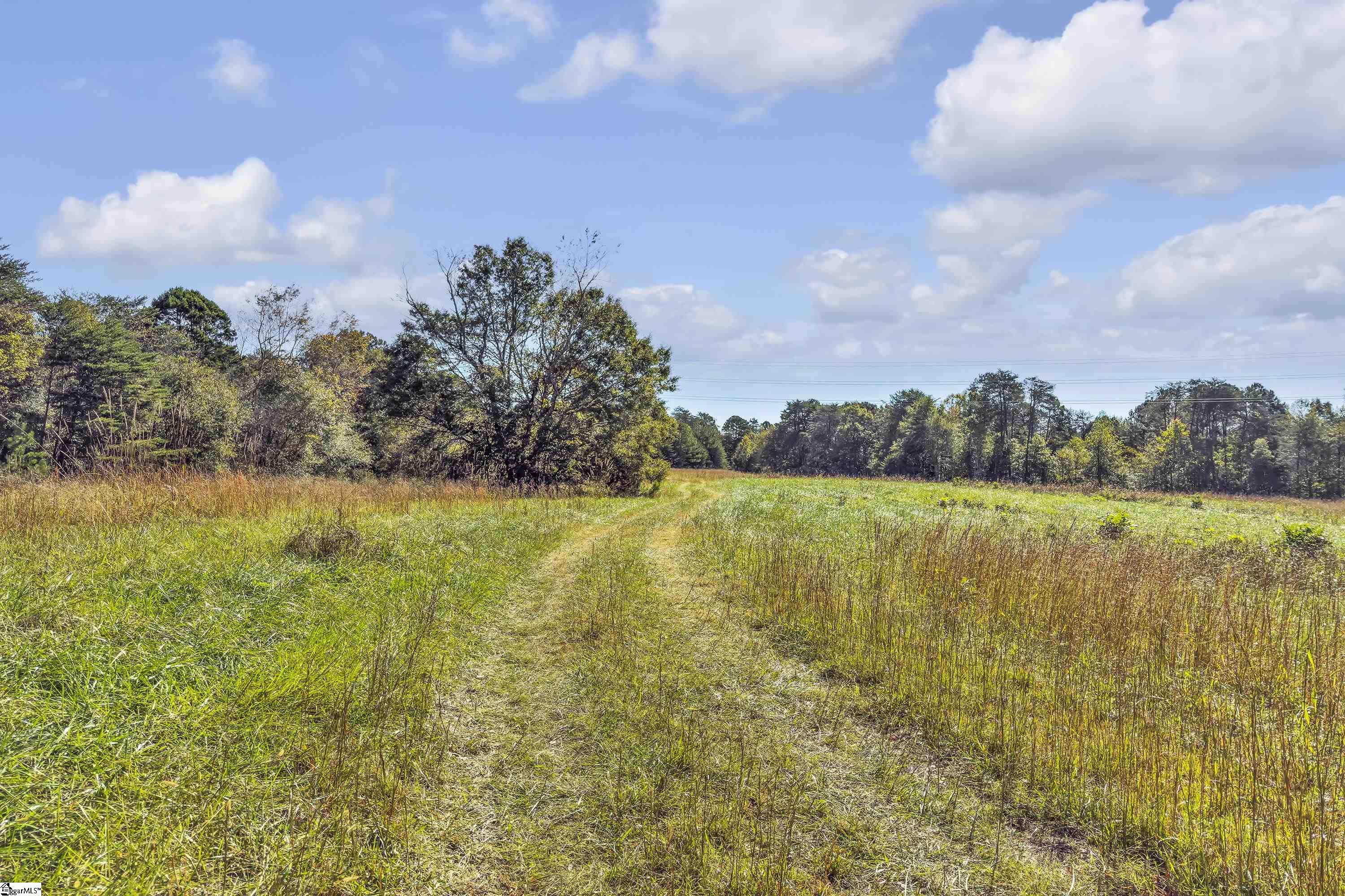 Old Converse Road, Spartanburg, South Carolina, 29301, United States, ,Land,For Sale,Old Converse Road,1647138