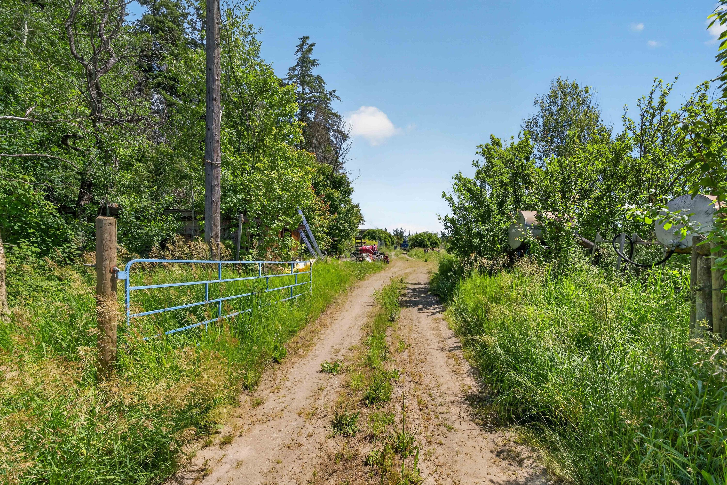  158 Acre Lakeview Homestead - 物件實景