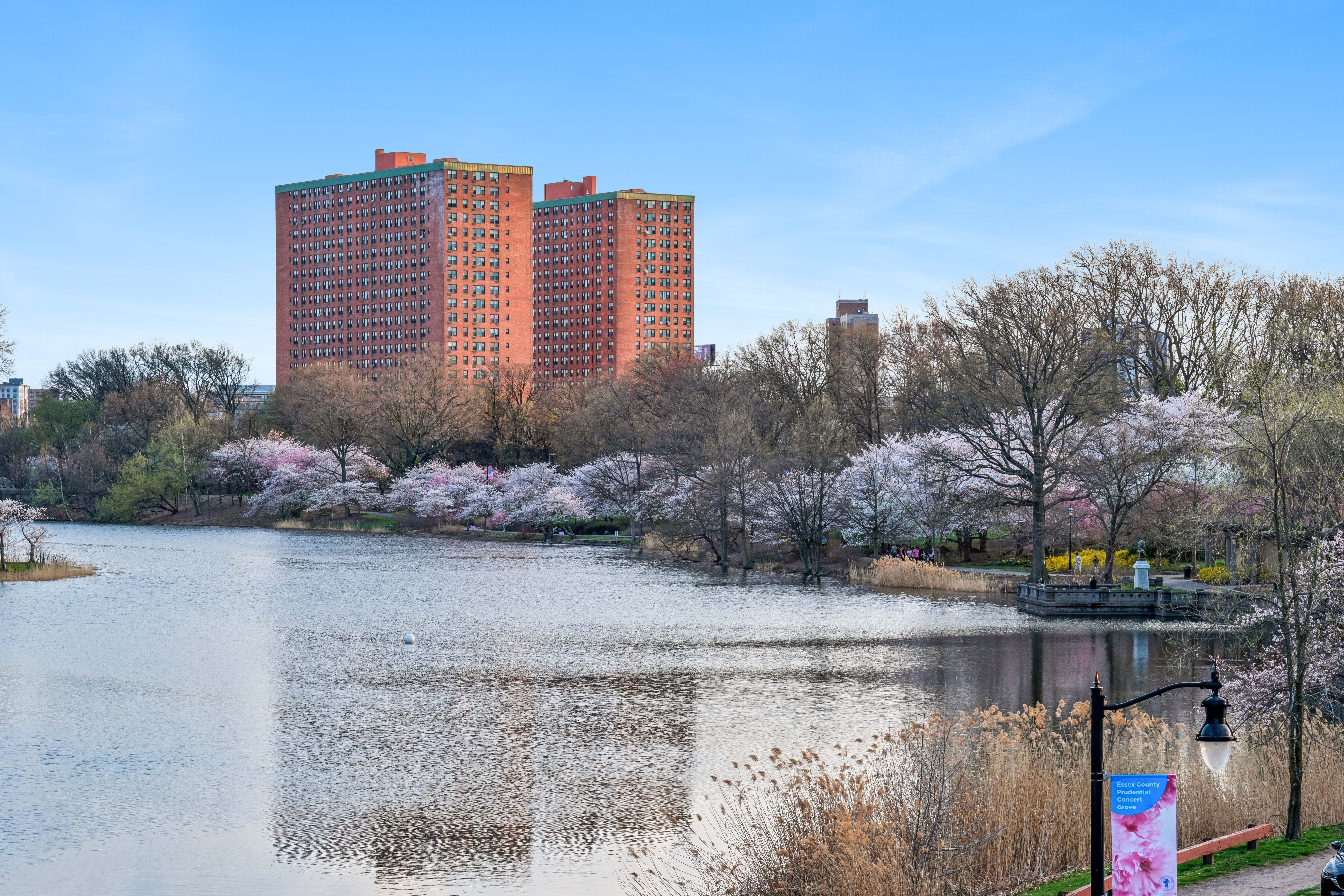  363-377 Mount Prospect Avenue, Newark, NJ 07104 - 物件實景