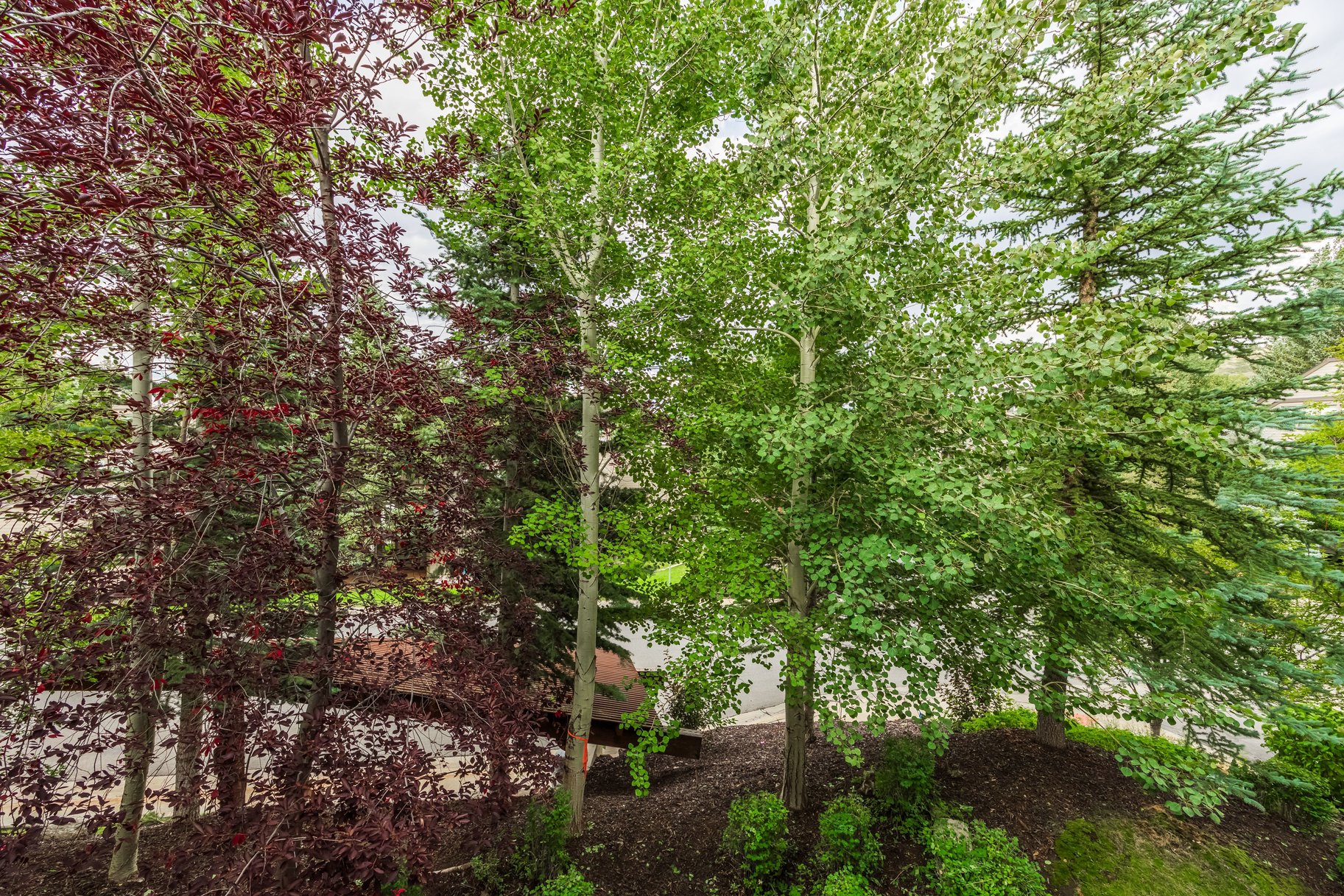  Silver Star 2 BR Ski-in/Ski-out Condo  Step into Your Mountain Dream Lifestyle - 物件實景