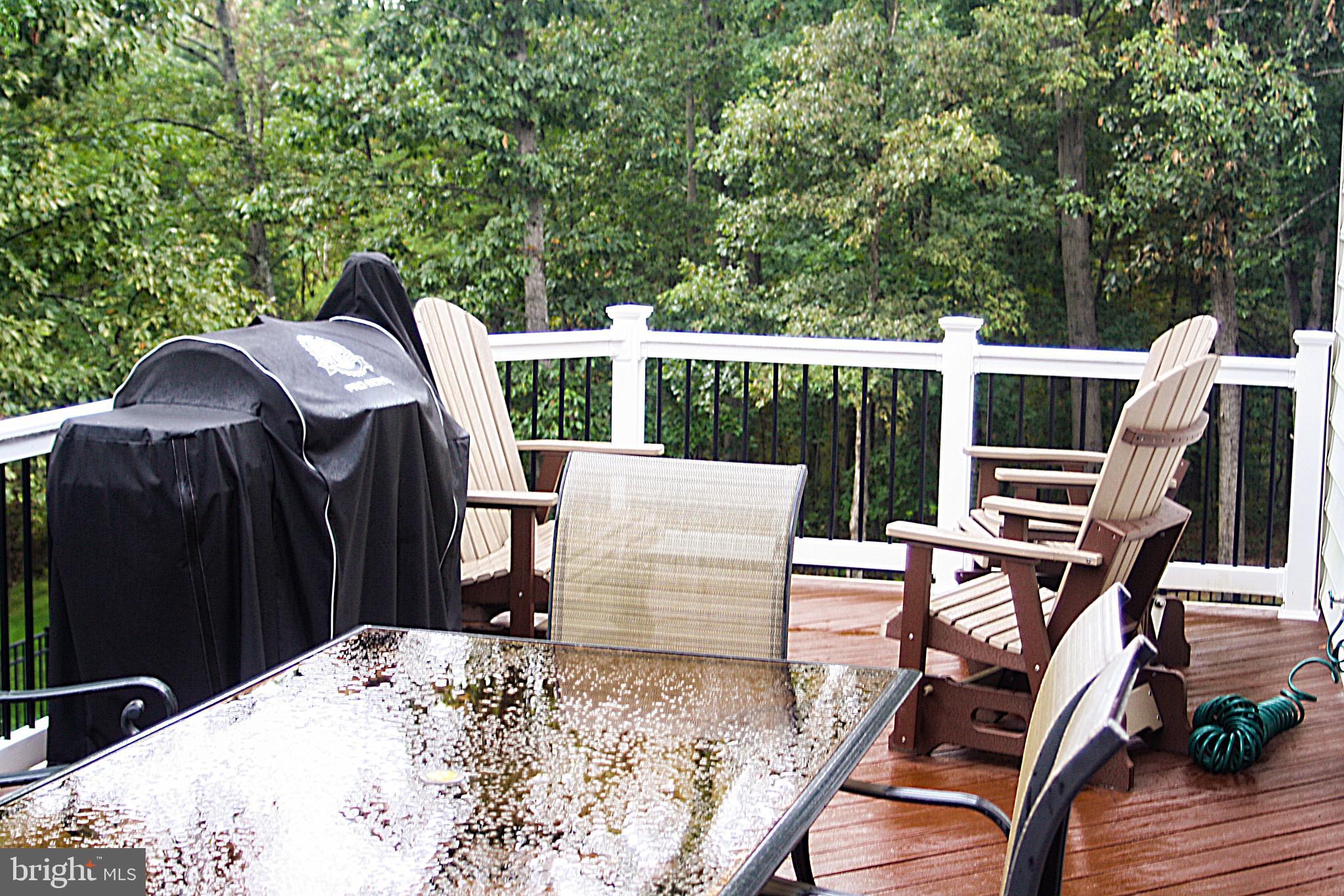 Winchester, Virginia, 22602, United States, 5 Bedrooms Bedrooms, ,5 BathroomsBathrooms,Residential,For Sale,1982956