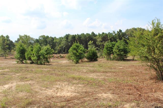 Henderson, Texas, 75652, United States, ,Land,For Sale,1978065