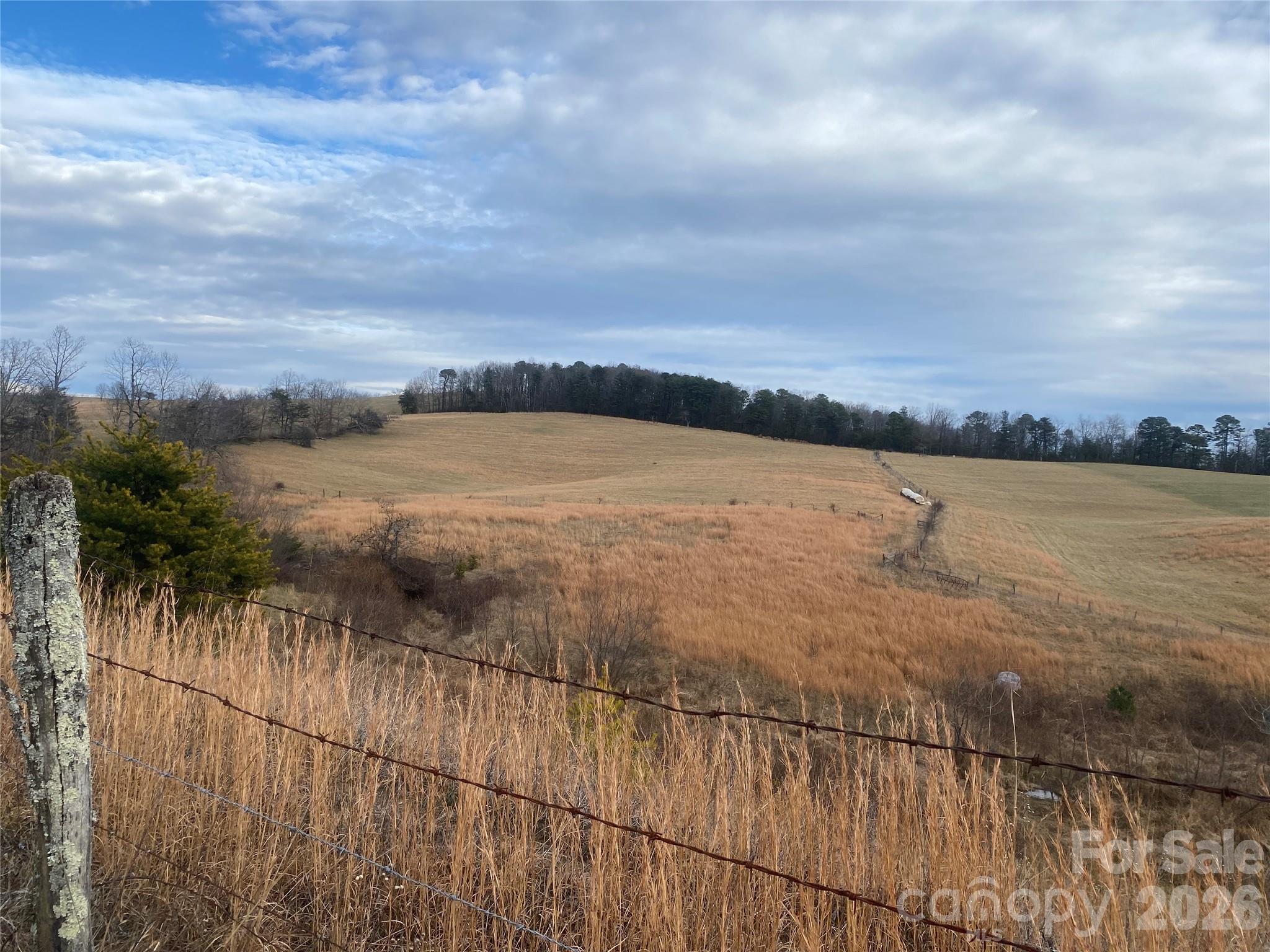 Hendersonville, North Carolina, 28792, United States, ,Land,For Sale,2010421