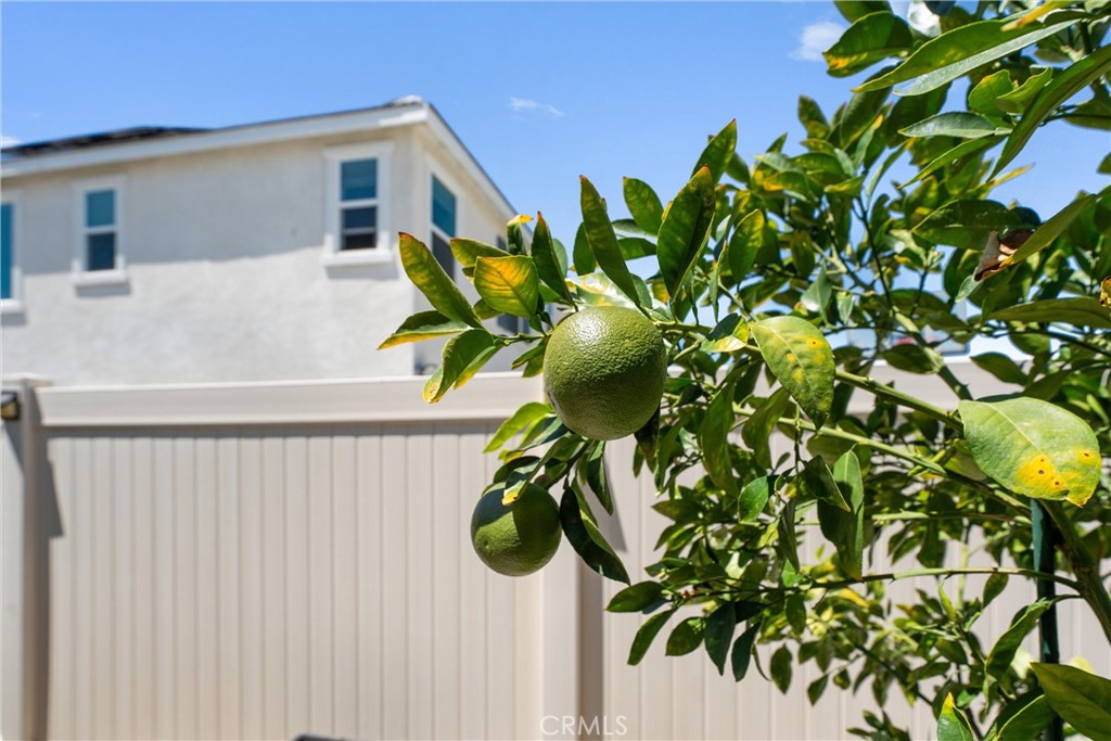 Menifee, California, 92584, United States, 4 Bedrooms Bedrooms, ,2 BathroomsBathrooms,Residential,For Sale,1901372