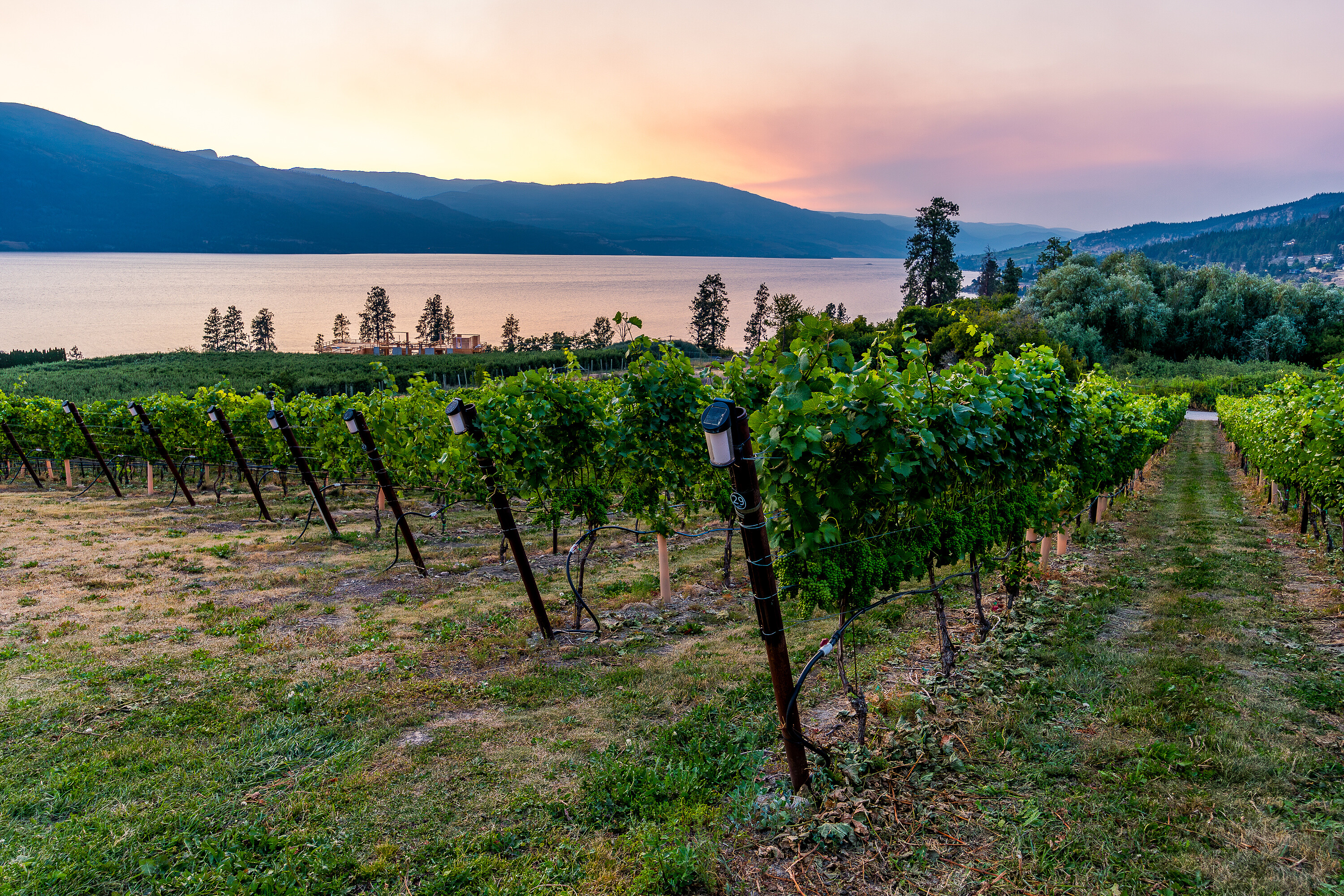  Scenic Vineyard Home - 物件實景