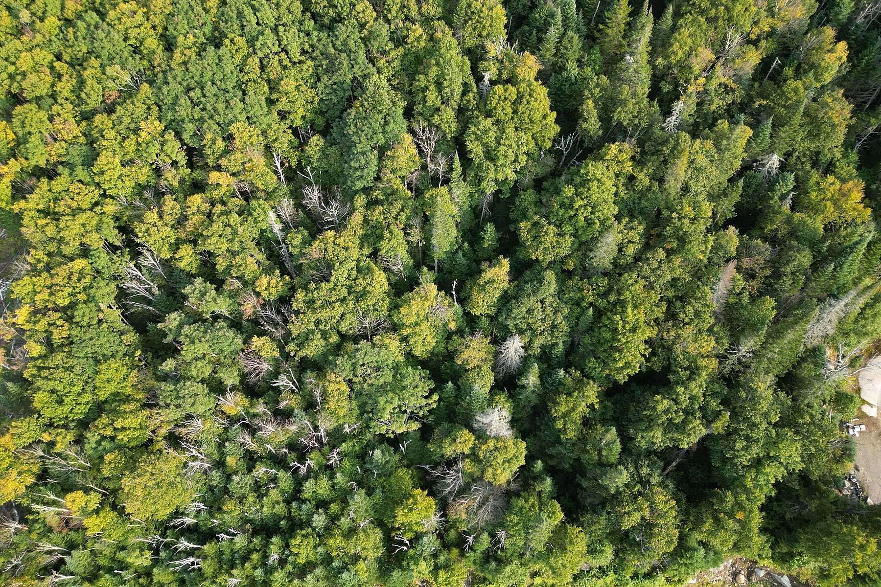  Saint-Donat, Lanaudière - 物件實景