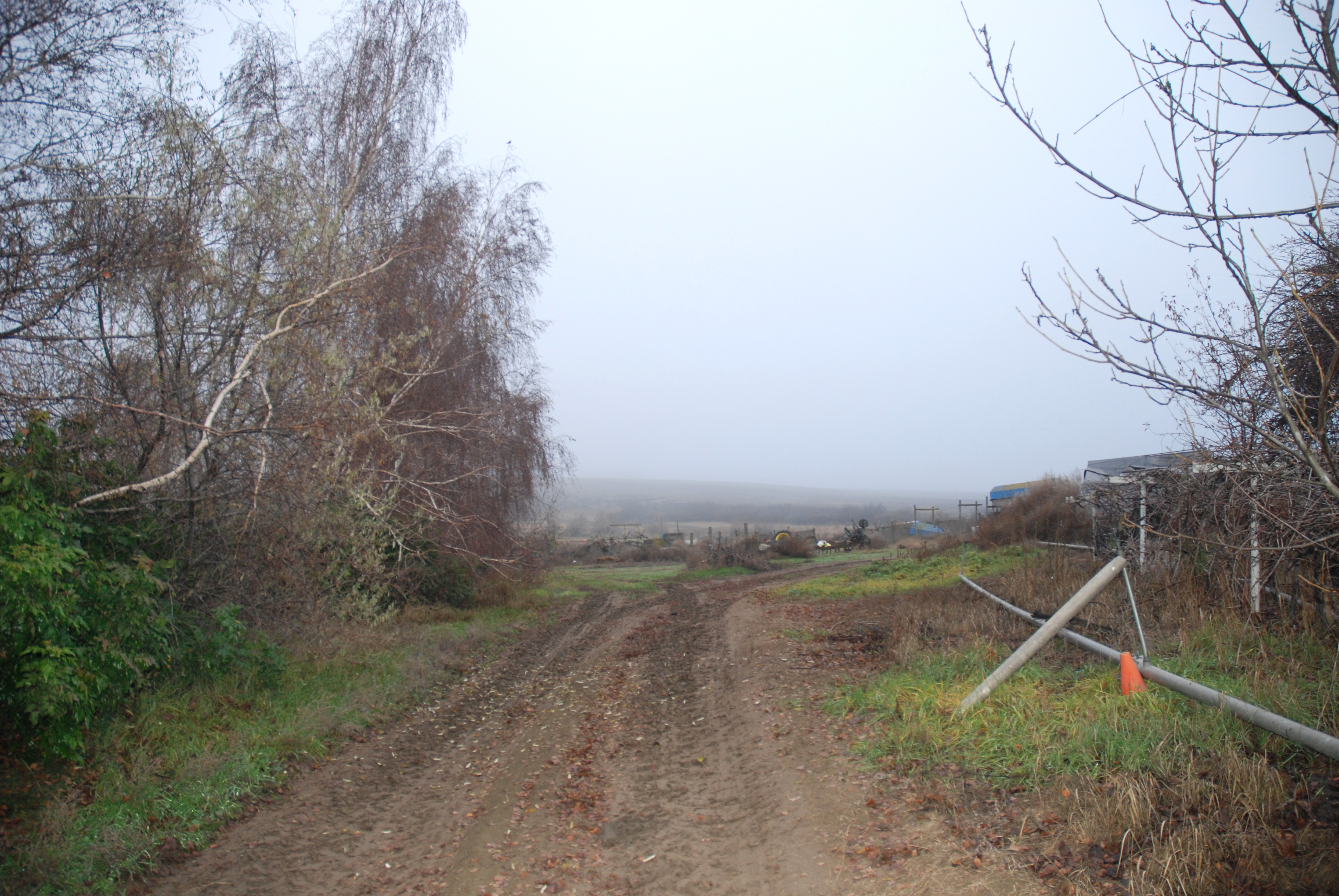 Warden, Washington, 98857, United States, 4 Bedrooms Bedrooms, ,1 BathroomBathrooms,Residential,For Sale,2006383