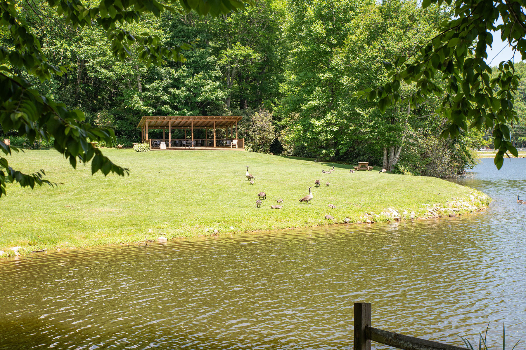  NEWLAND - LINVILLE LAND HARBOR - 物件實景