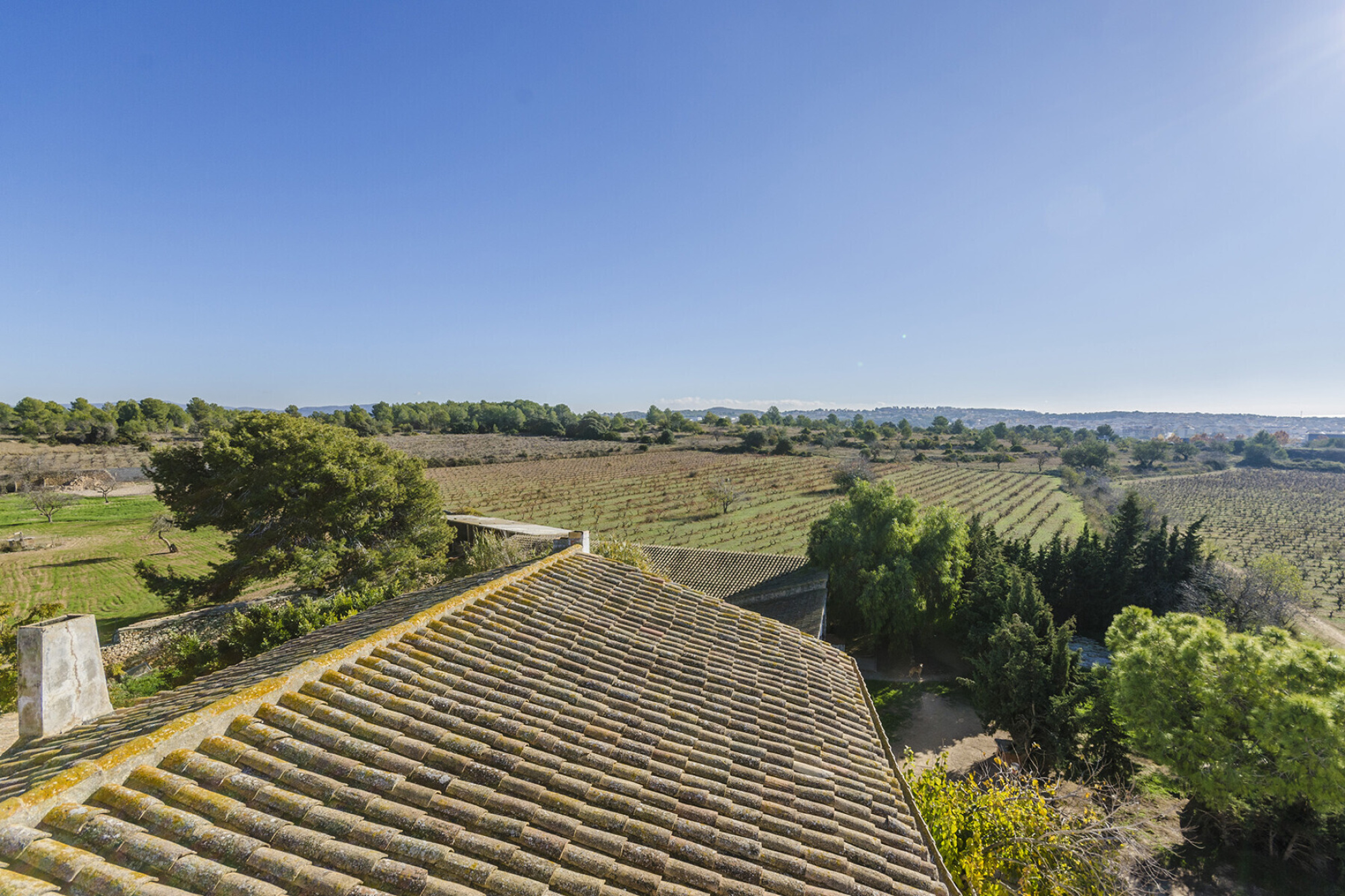  Masia with Vineyards and 3.13 Hectares in Vilanova i la Geltrú - 物件實景