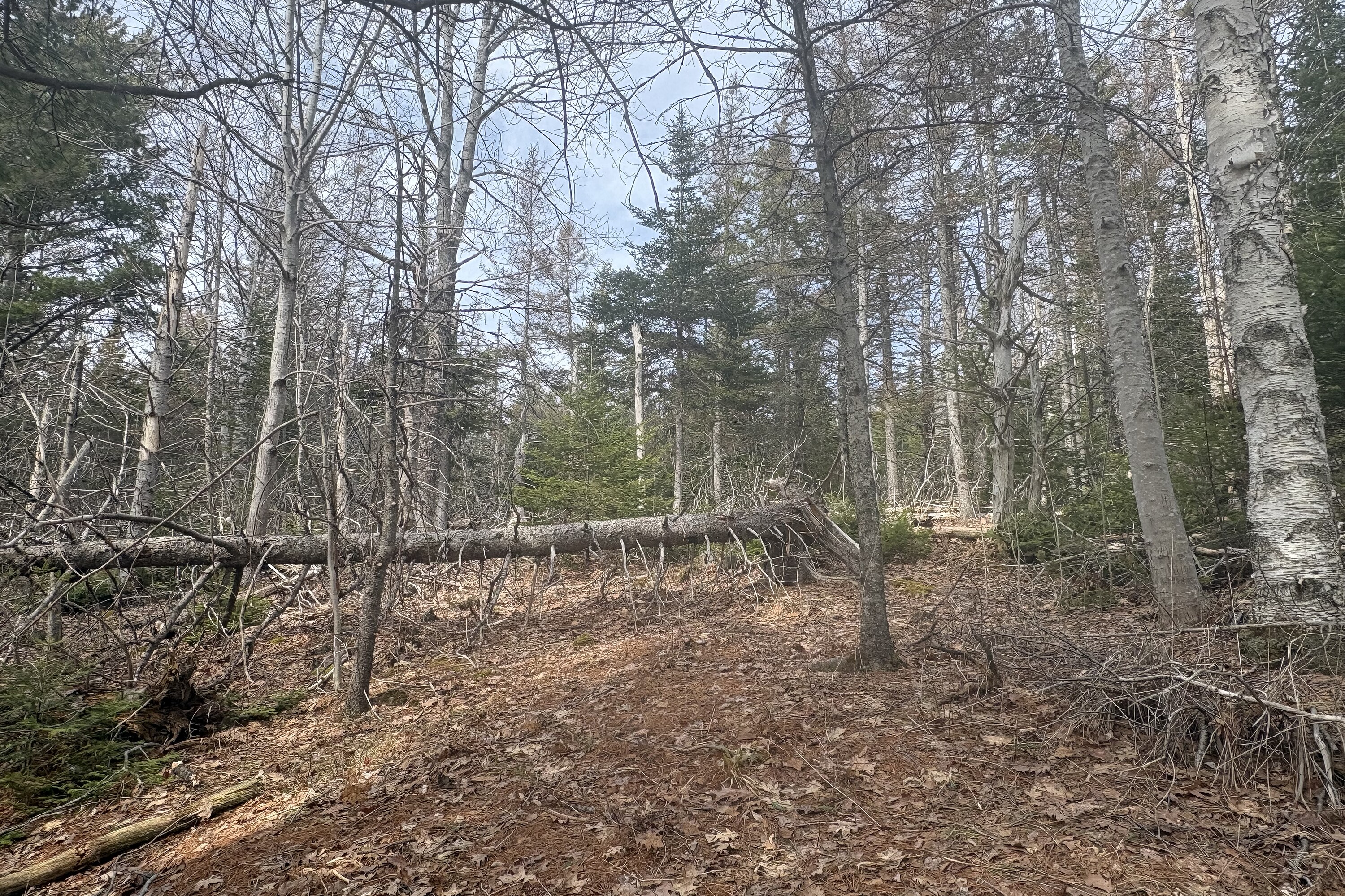  Melvern Square, - 物件實景