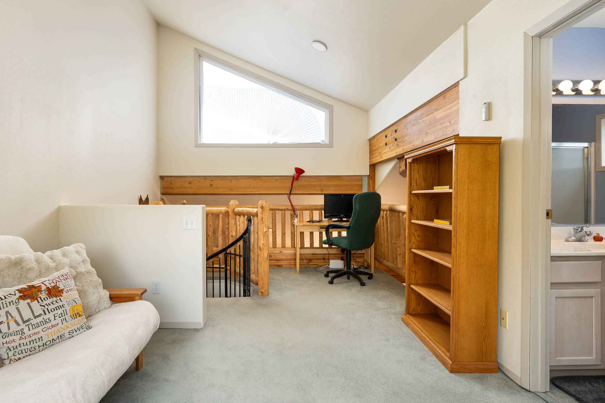  753 Mulligan, Fraser, CO, 80442 - 物件實景
