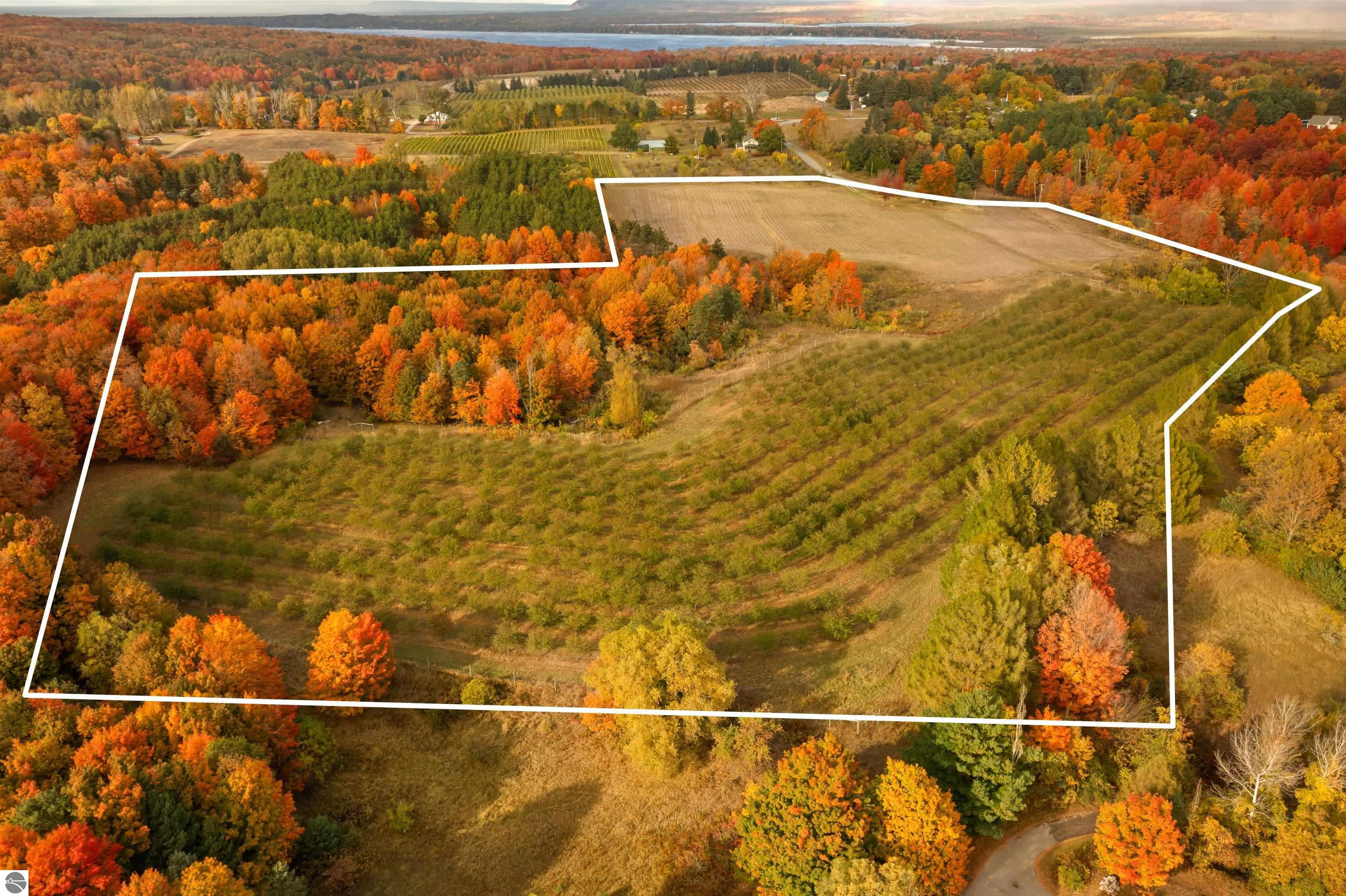 Beulah, Michigan, 49617, United States, ,Land,For Sale,1938552