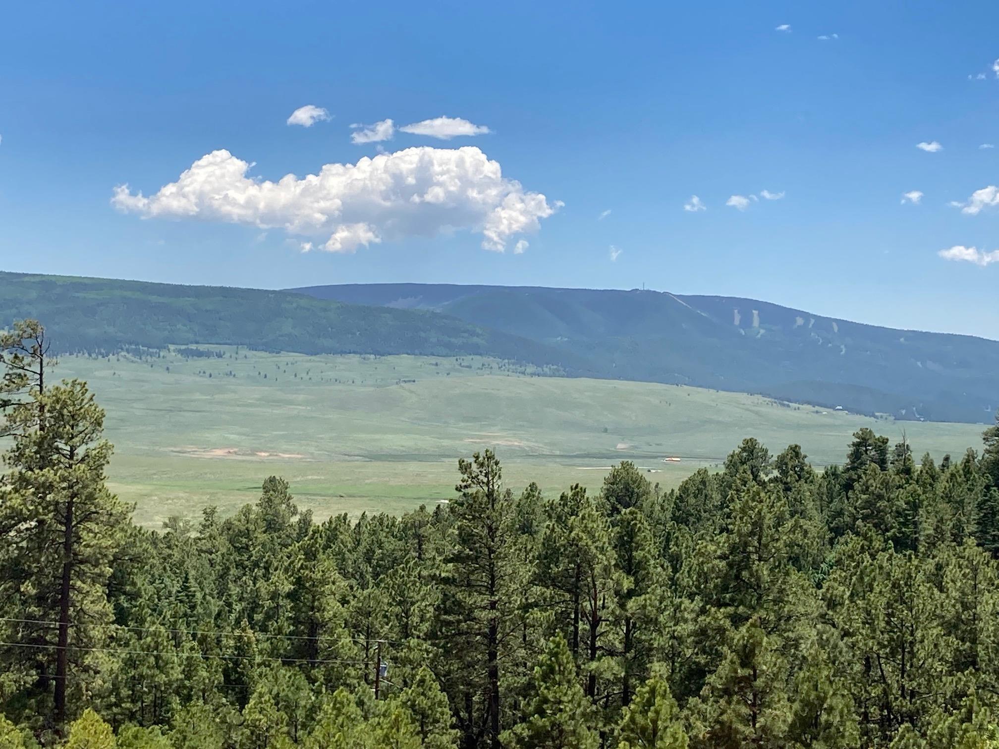 Eagle Nest, New Mexico, 87718, United States, ,Land,For Sale,1752253