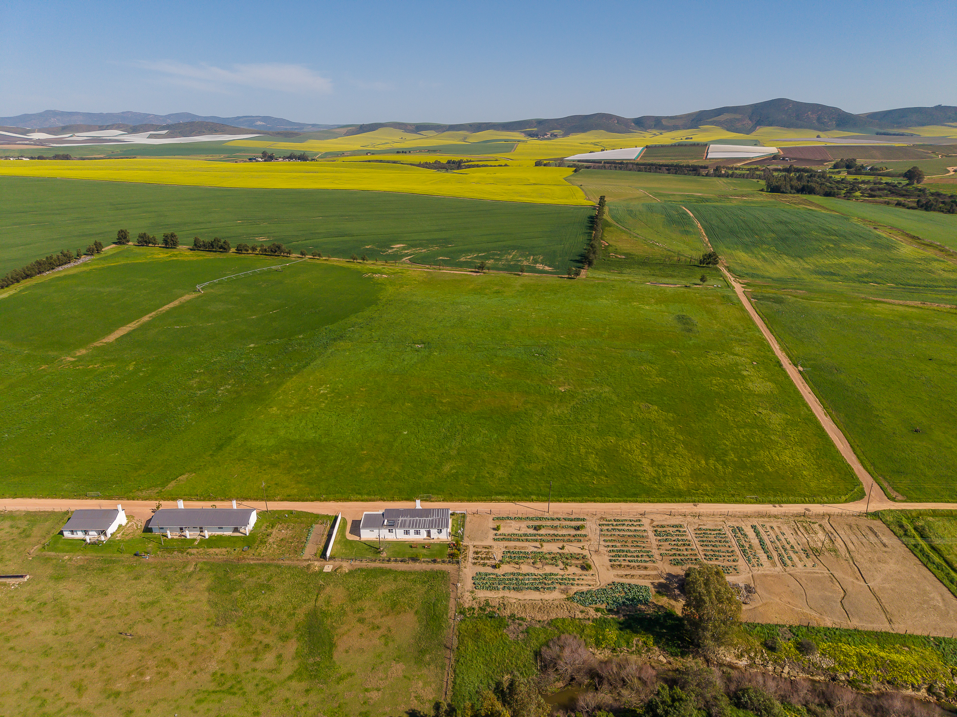  123-Hectare Irrigated Farm on the banks of the Berg River - 物件實景