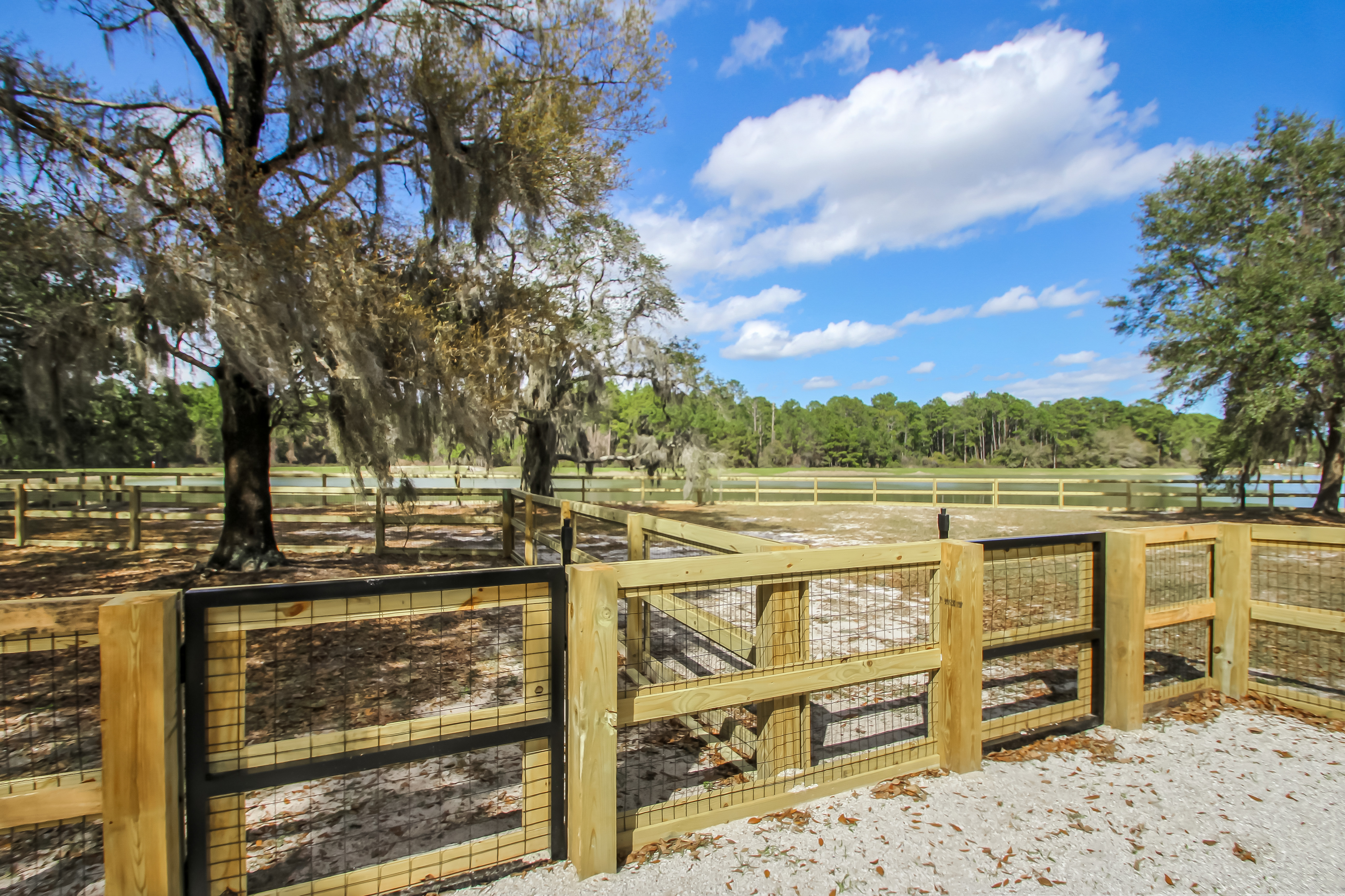  141 Linsbury Court, St. Augustine, FL, 32092 - 物件實景