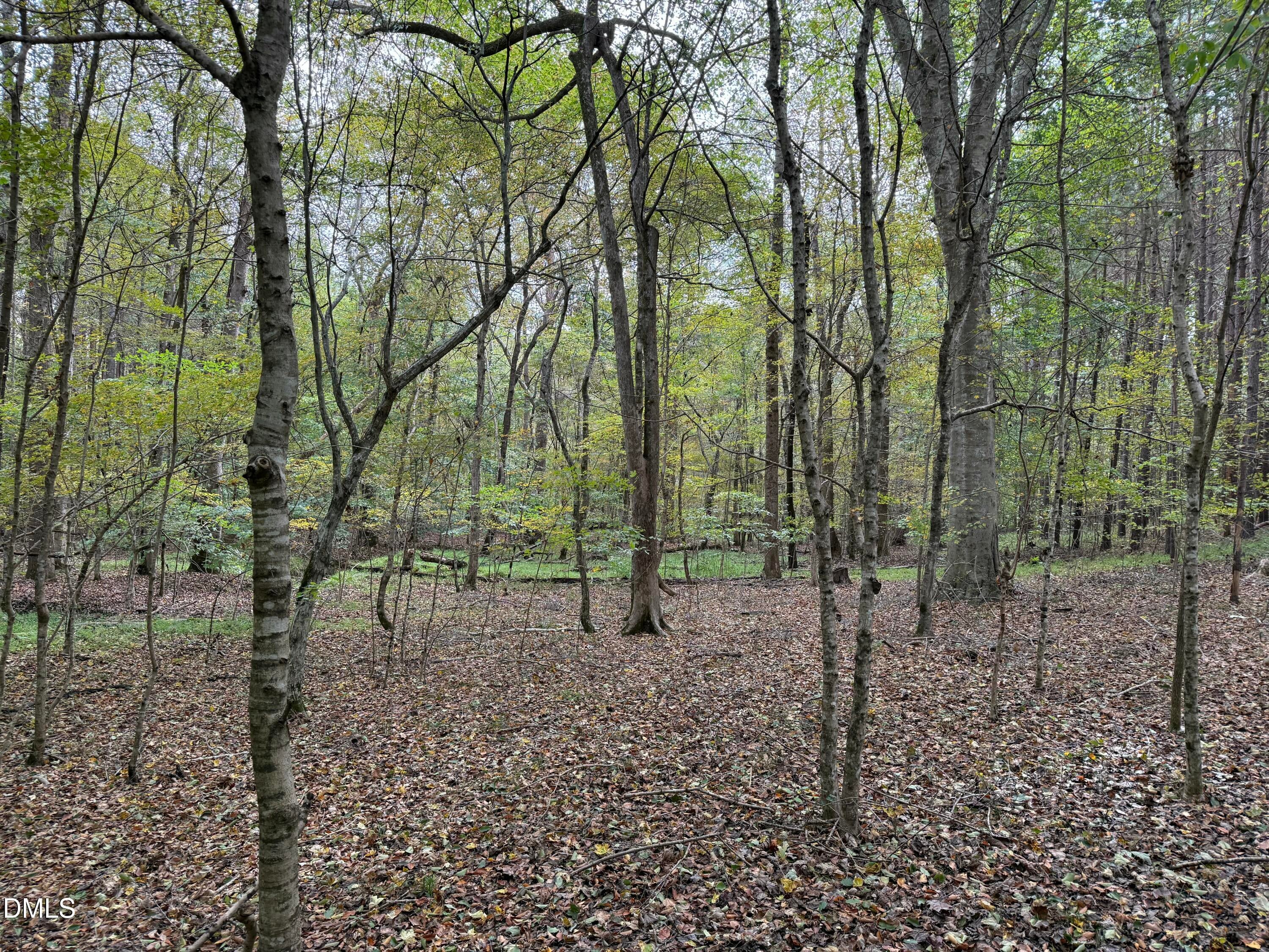 Oxford, North Carolina, 27565, United States, ,Land,For Sale,2000467