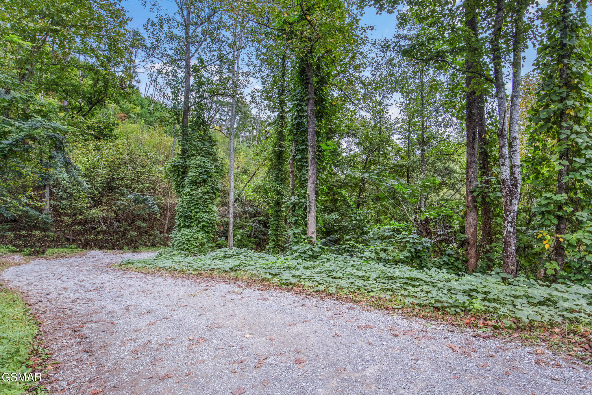 Gatlinburg, Tennessee, 37738, United States, ,Land,For Sale,1981809