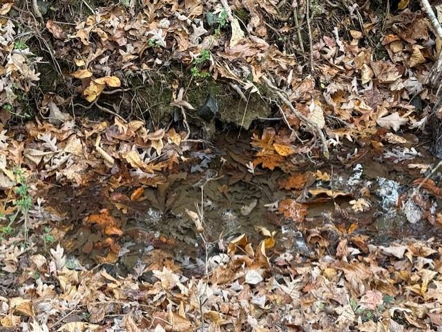 Talking Rock, Georgia, 30175, United States, ,Land,For Sale,1995157