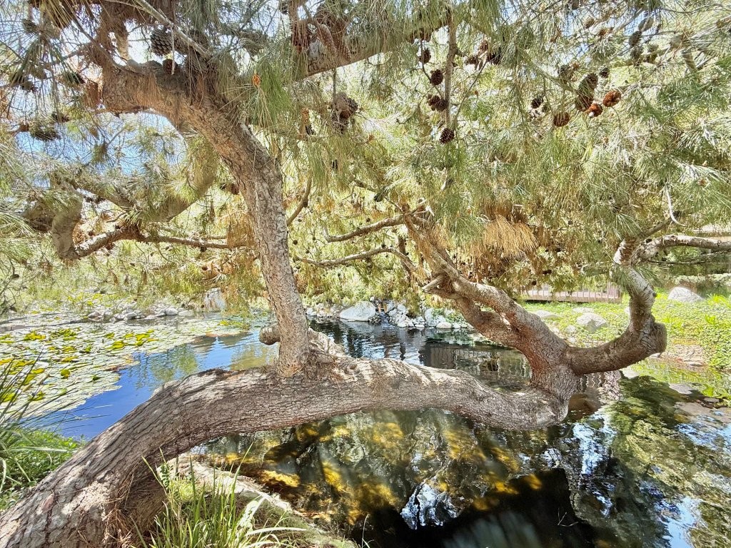 Long Beach, California, 90815, United States, 1 Bedroom Bedrooms, ,1 BathroomBathrooms,Residential,For Sale,1864208