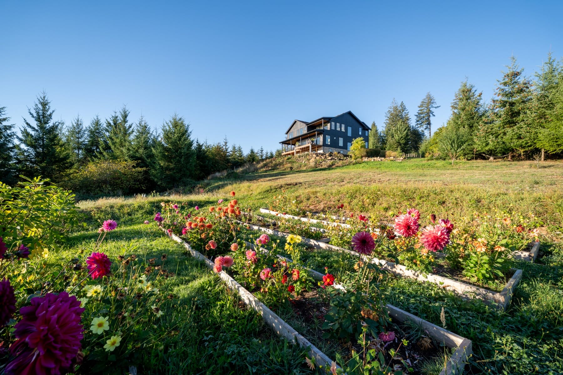  17071 NE HOLLY HILL RD Hillsboro, OR 97123 - 物件實景