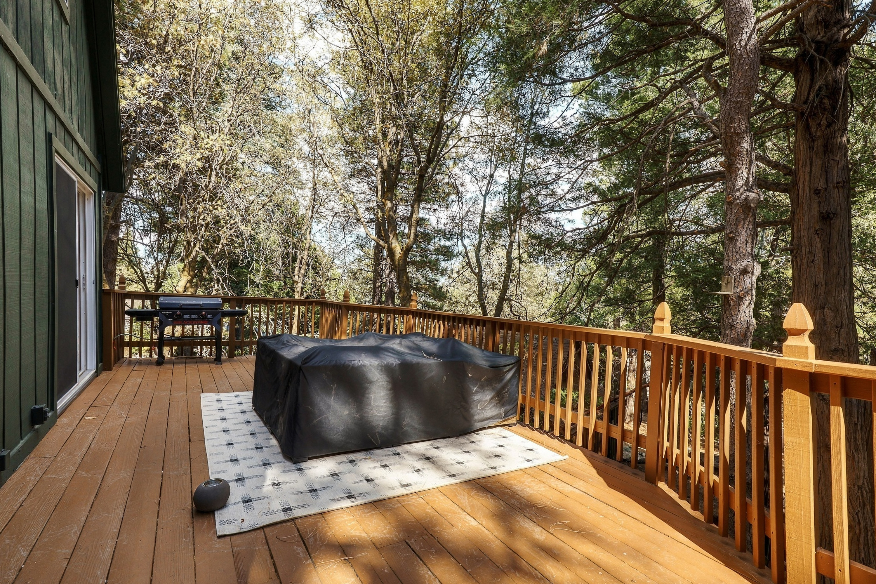  1144 Scenic Way, Lake Arrowhead, CA 92378 - 物件實景