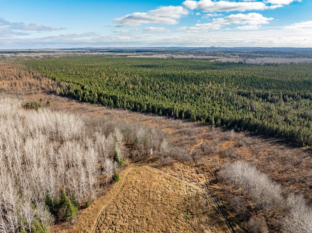 Grand Rapids, Minnesota, 55744, United States, ,Land,For Sale,1983791