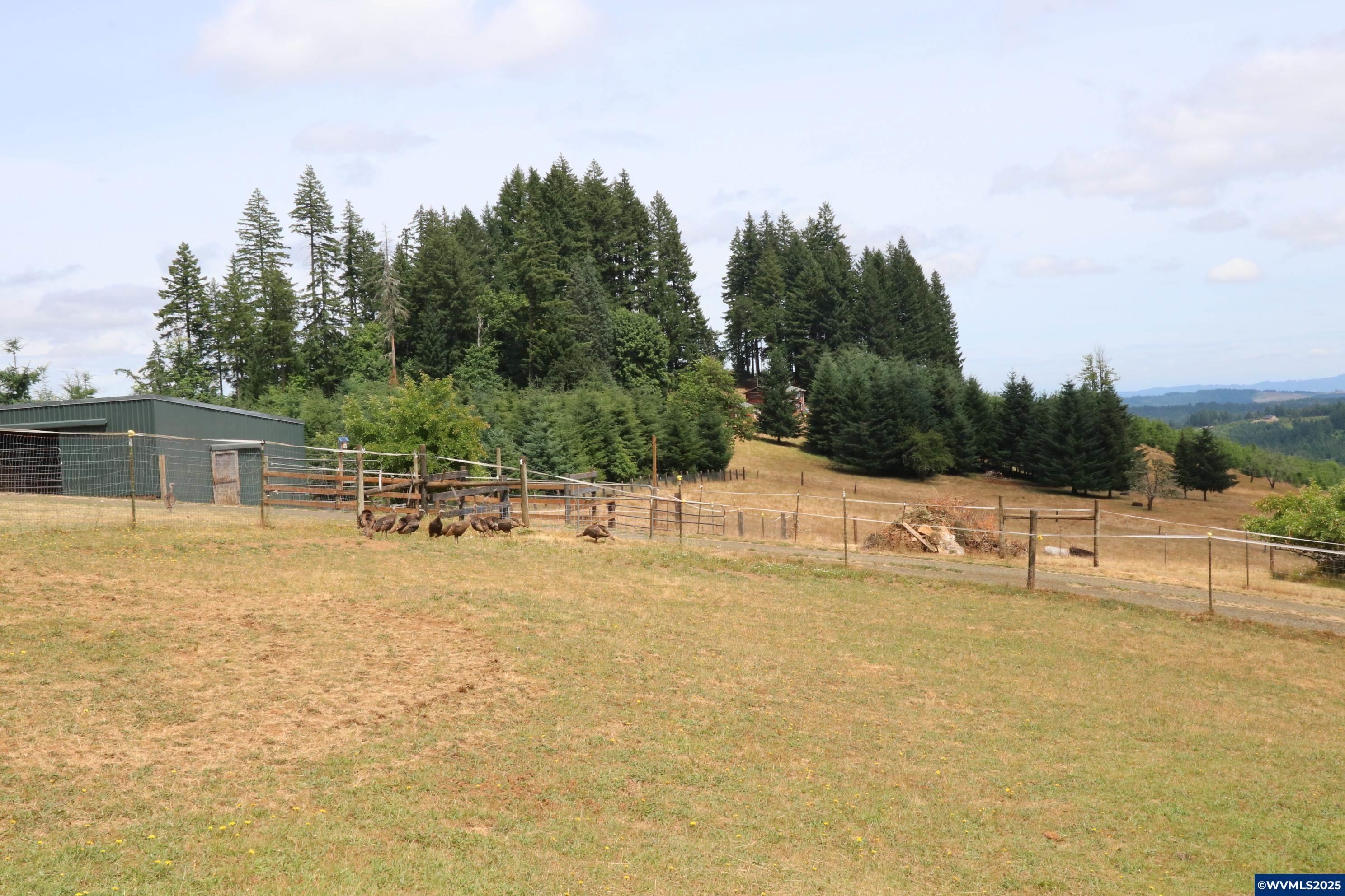 Falls City, Oregon, 97344, United States, 3 Bedrooms Bedrooms, ,2 BathroomsBathrooms,Residential,For Sale,1875170