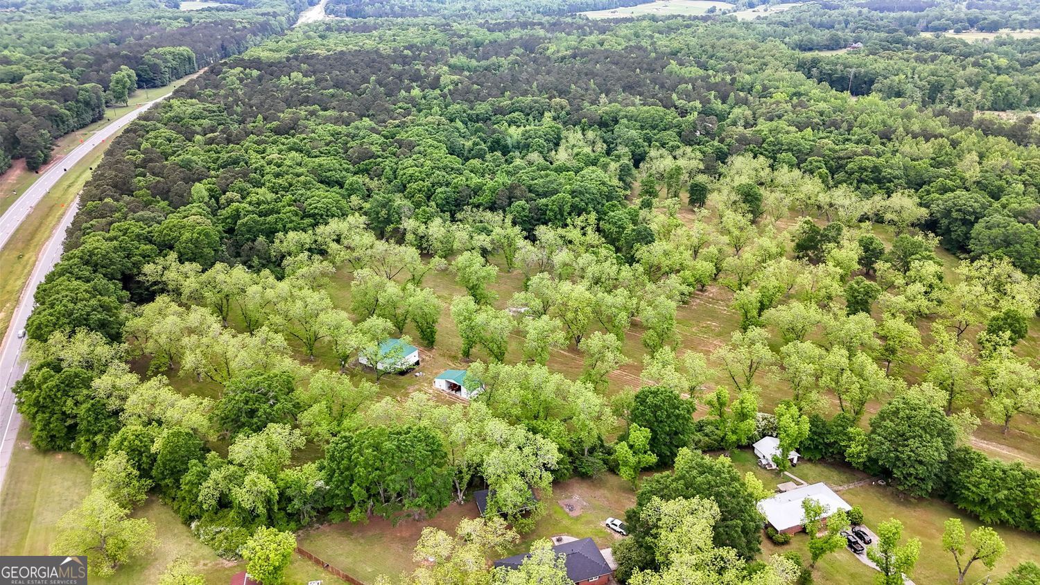 Milner, Georgia, 30257, United States, ,Land,For Sale,1859026