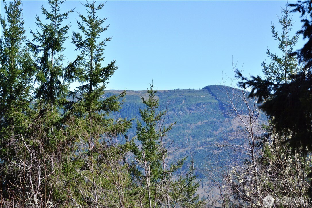Bellingham, Washington, 98226, United States, ,Land,For Sale,1846536