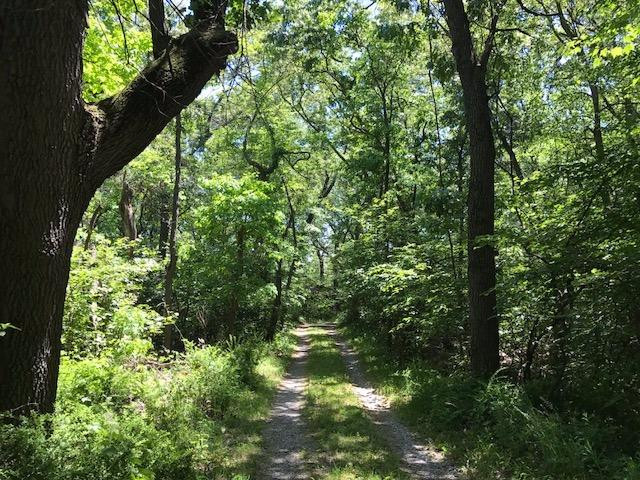602 E Beverly Drive, Beverly Shores, Indiana, 46301, United States, ,Land,For Sale,602 E Beverly Drive,1614453