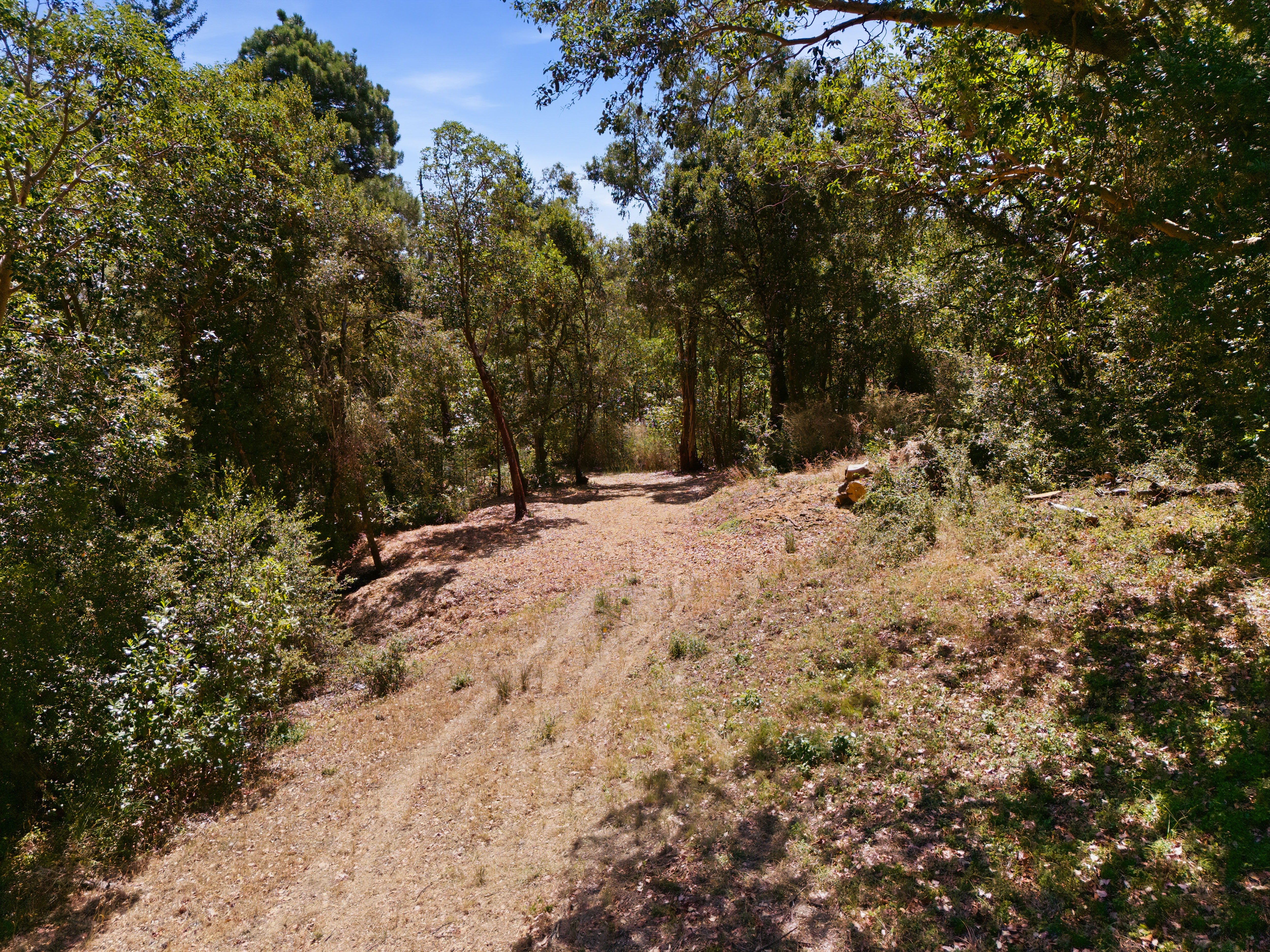  Exceptional Five-Acre Estate Opportunity with Bay Area Views - 物件實景