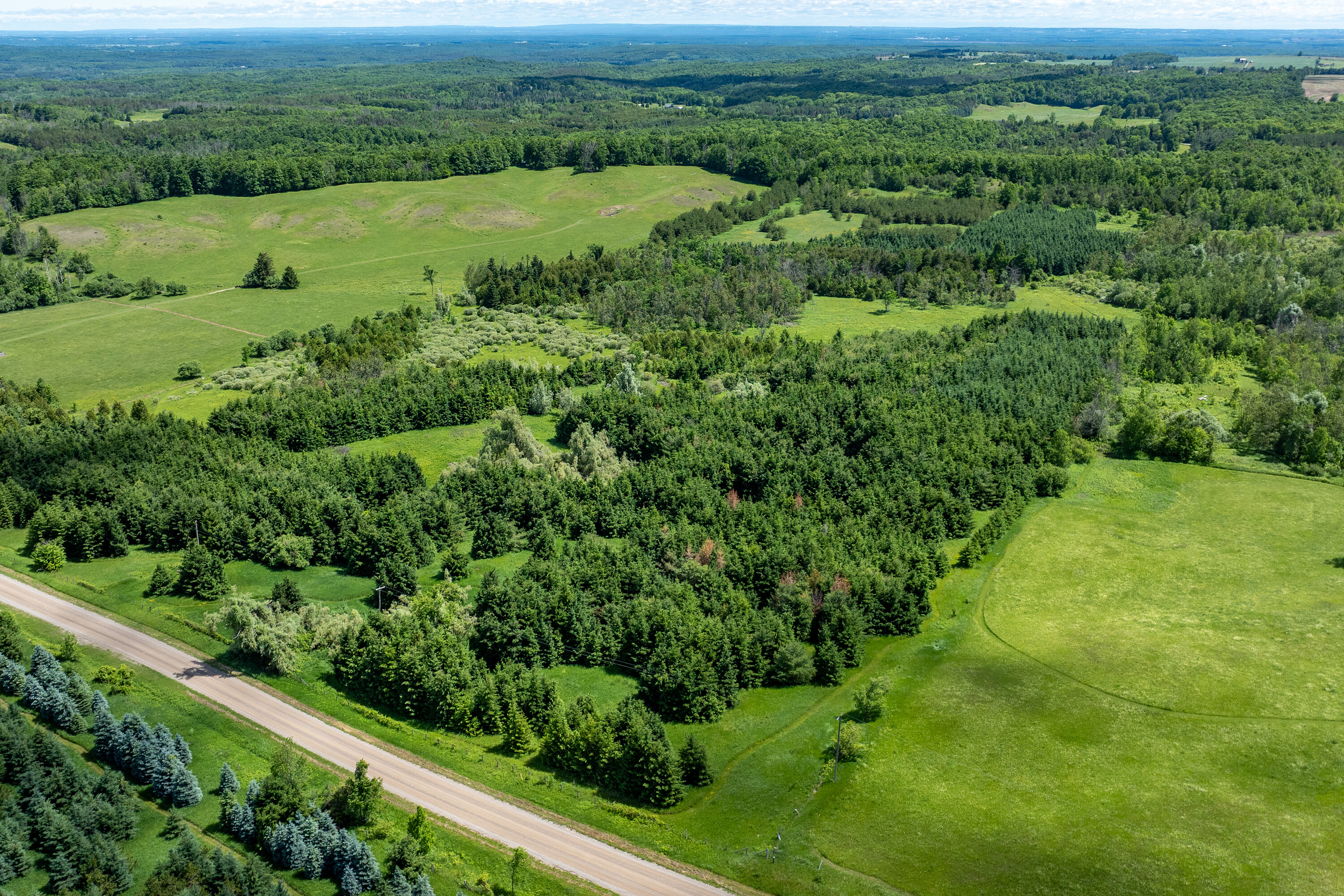  50 acre parcel in Mulmur ON - 物件實景