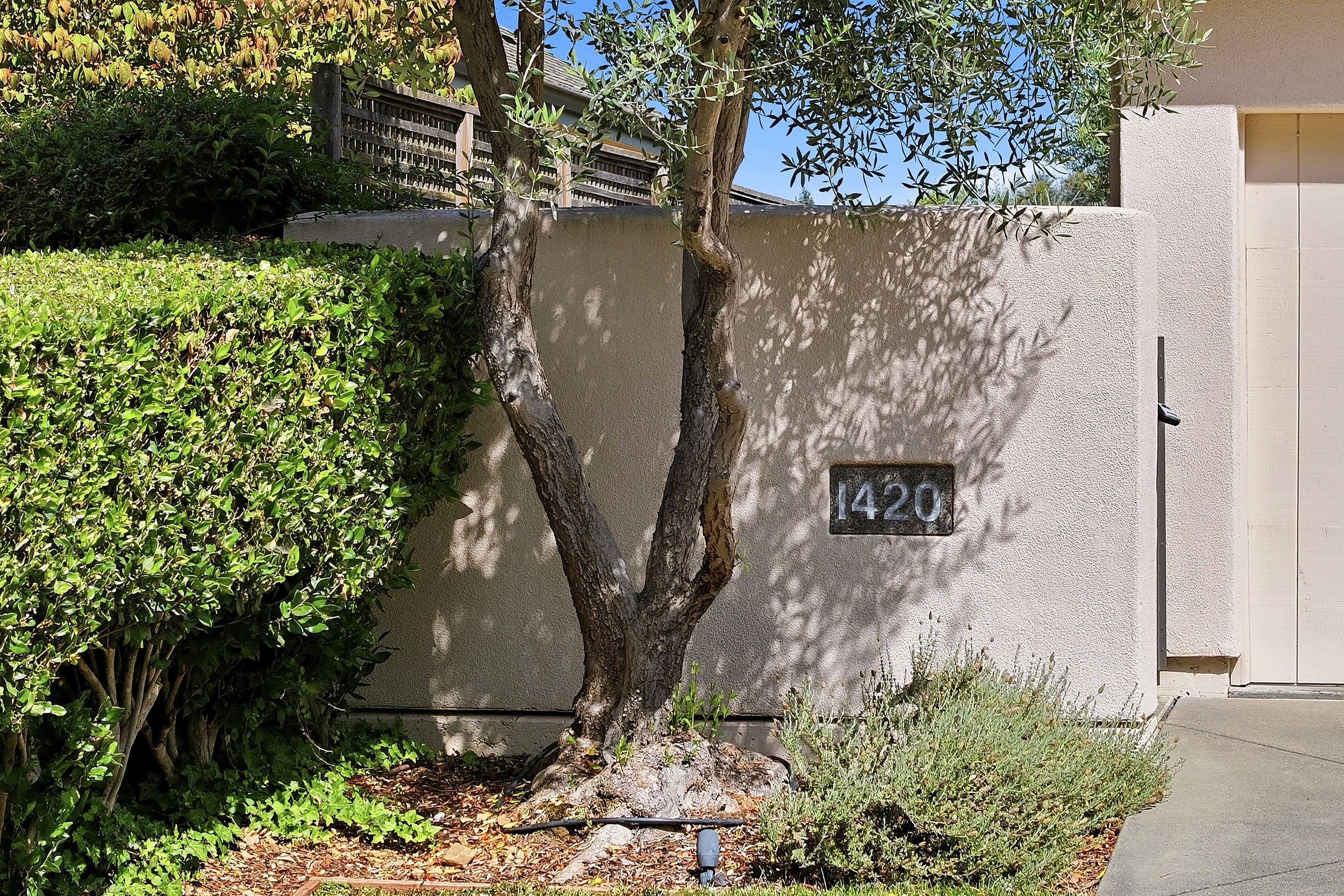  1420 Rosewood Lane - 物件實景