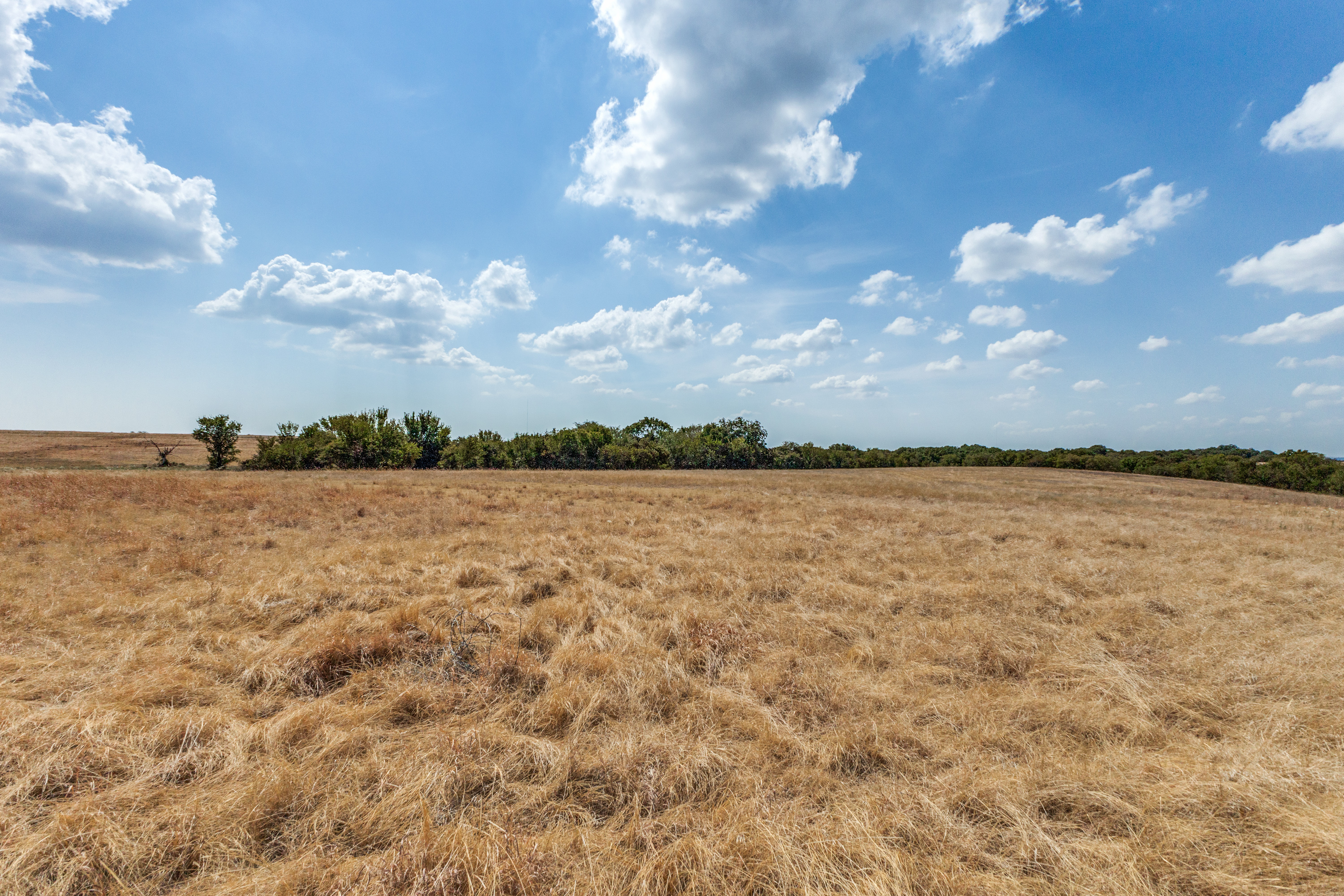  Loring Branch Ranch - 物件實景