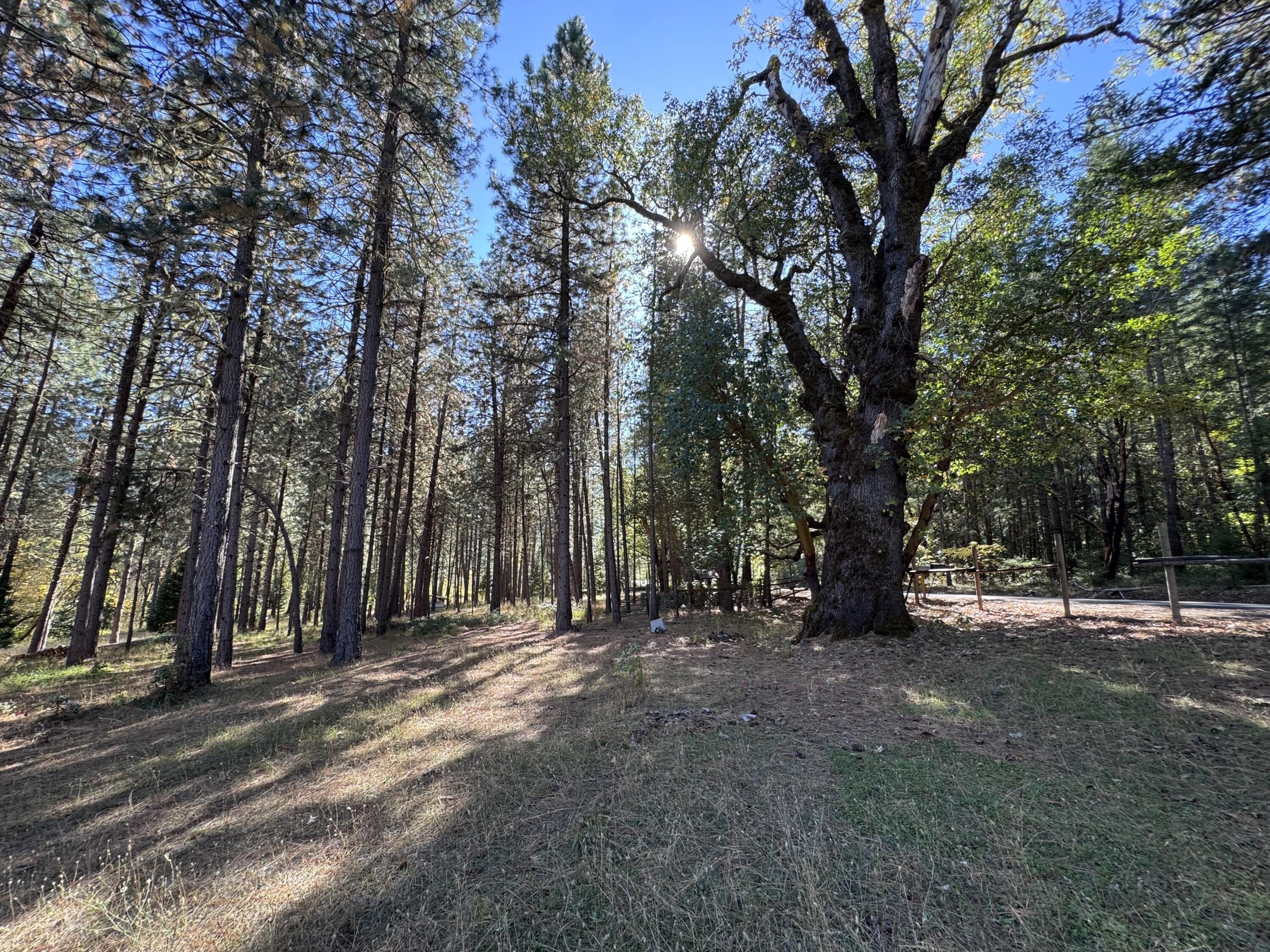 Rogue River, Oregon, 97537, United States, 3 Bedrooms Bedrooms, ,4 BathroomsBathrooms,Residential,For Sale,1982617