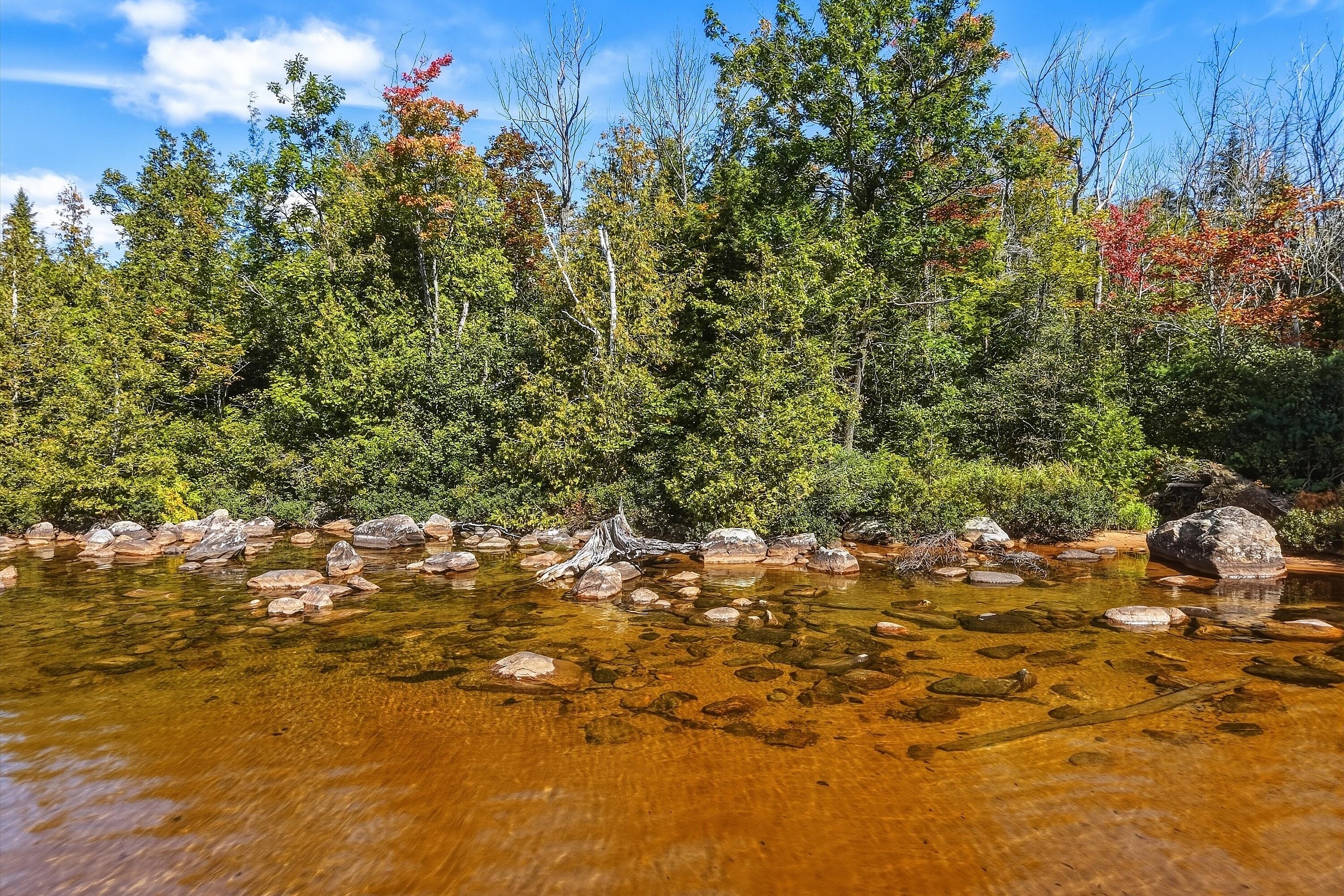  Beautiful Bayview Acres - 物件實景