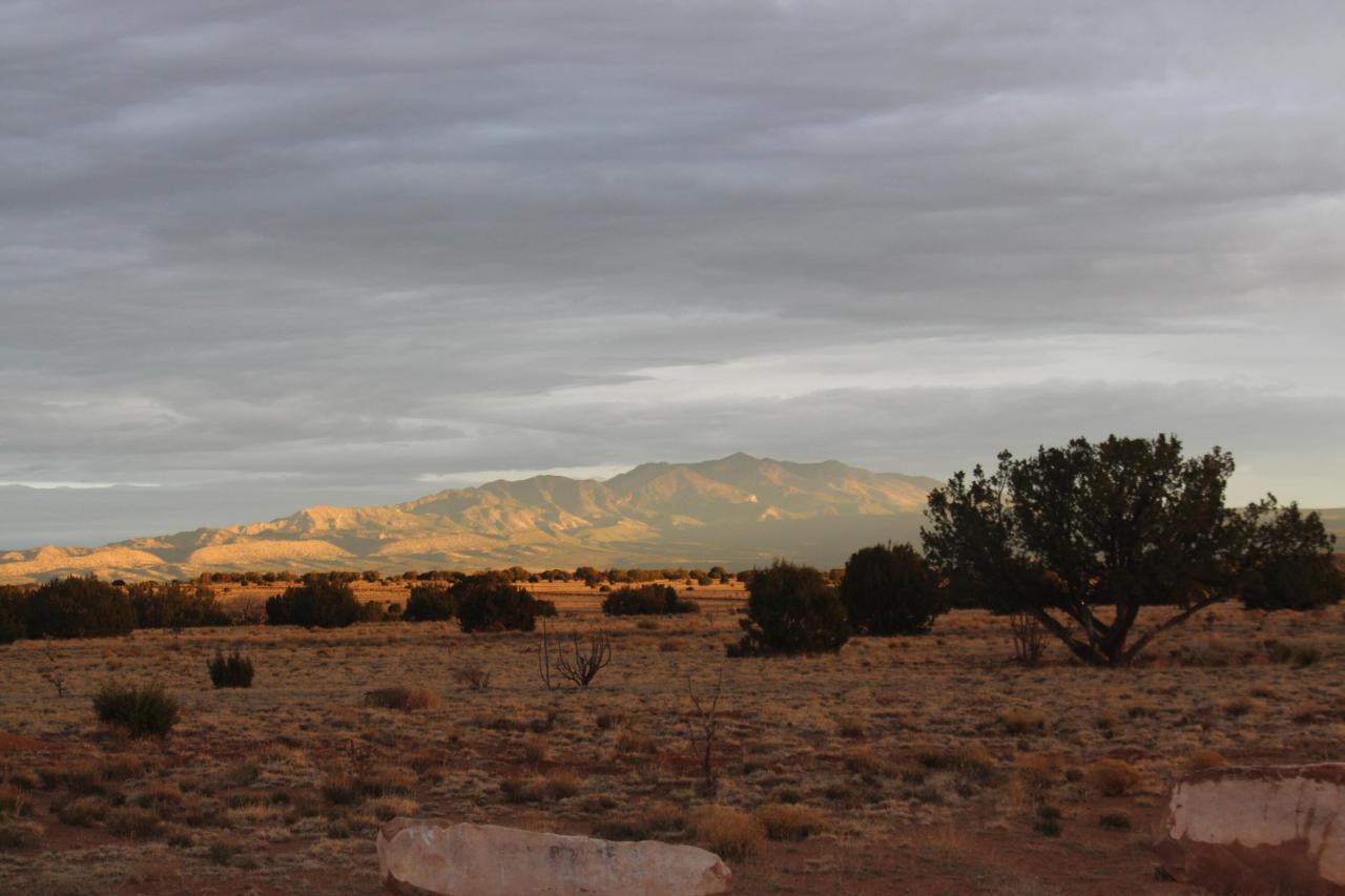 337 Scholle Road, Mountainair, New Mexico, 87036, United States, 3 Bedrooms Bedrooms, ,3 BathroomsBathrooms,Residential,For Sale,337 Scholle Road,1459491