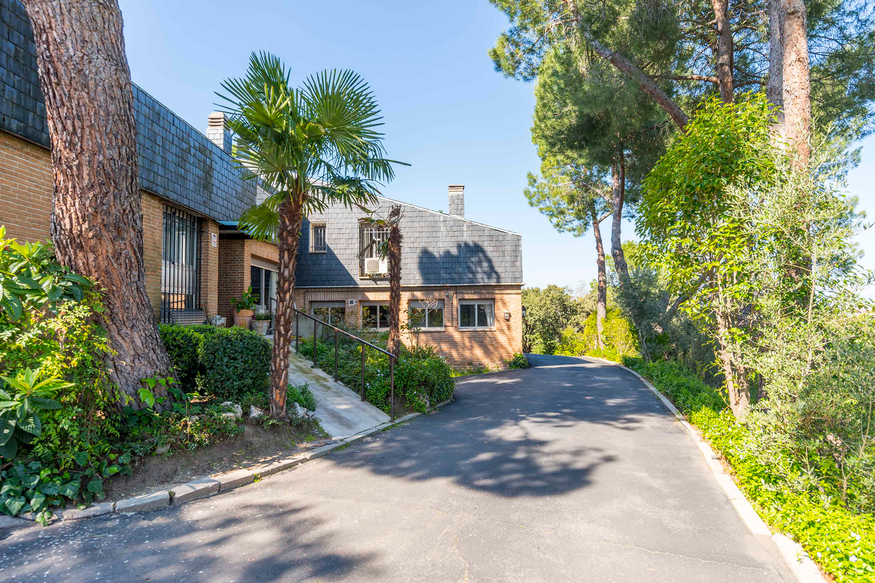  Wonderful hectare plot in La Moraleja - 物件實景