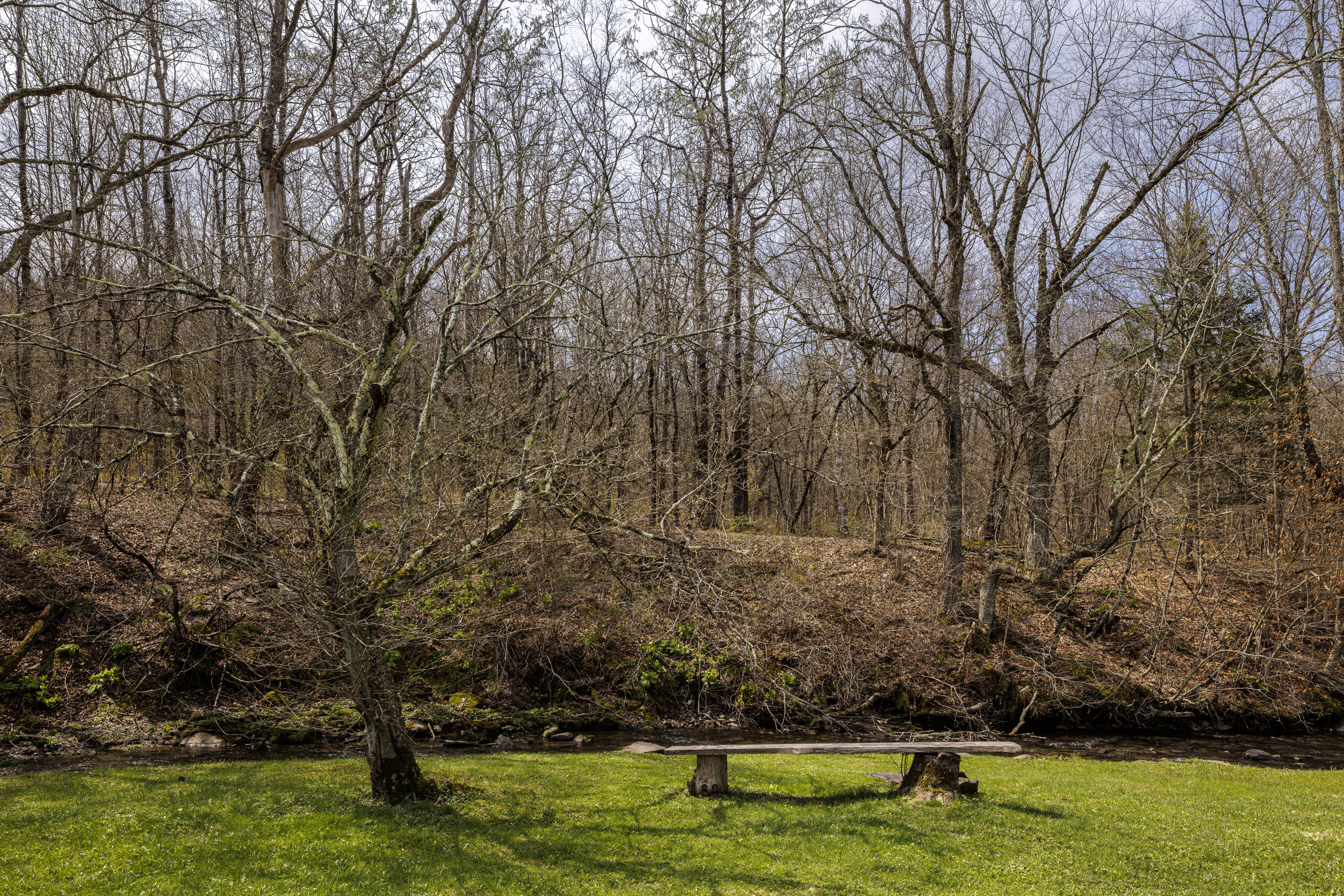  749 County Route 353, Rensserlaerville , NY 12147 - 物件實景