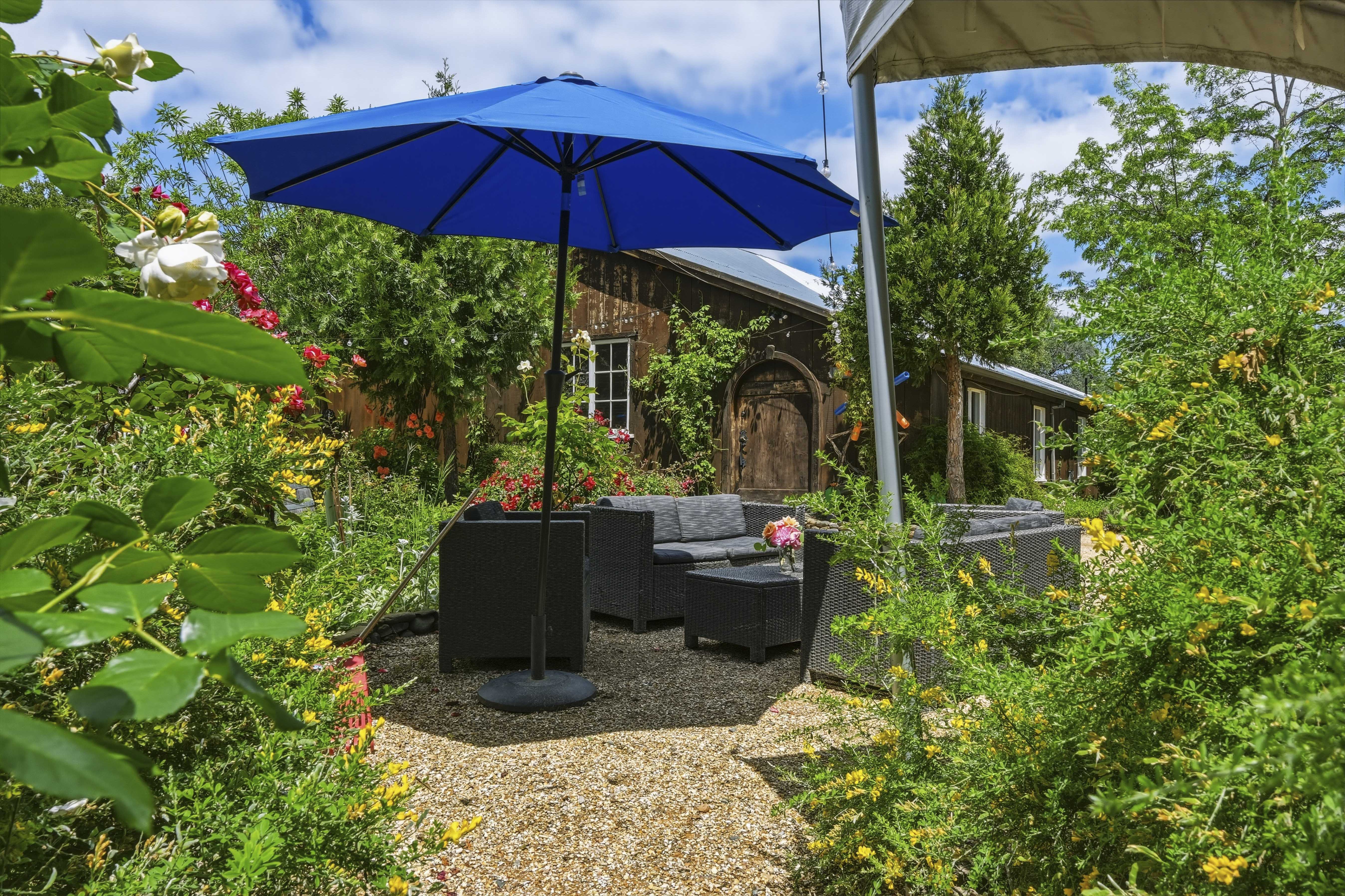  10120 Shenandoah Road, Plymouth, CA 95669 - 物件實景