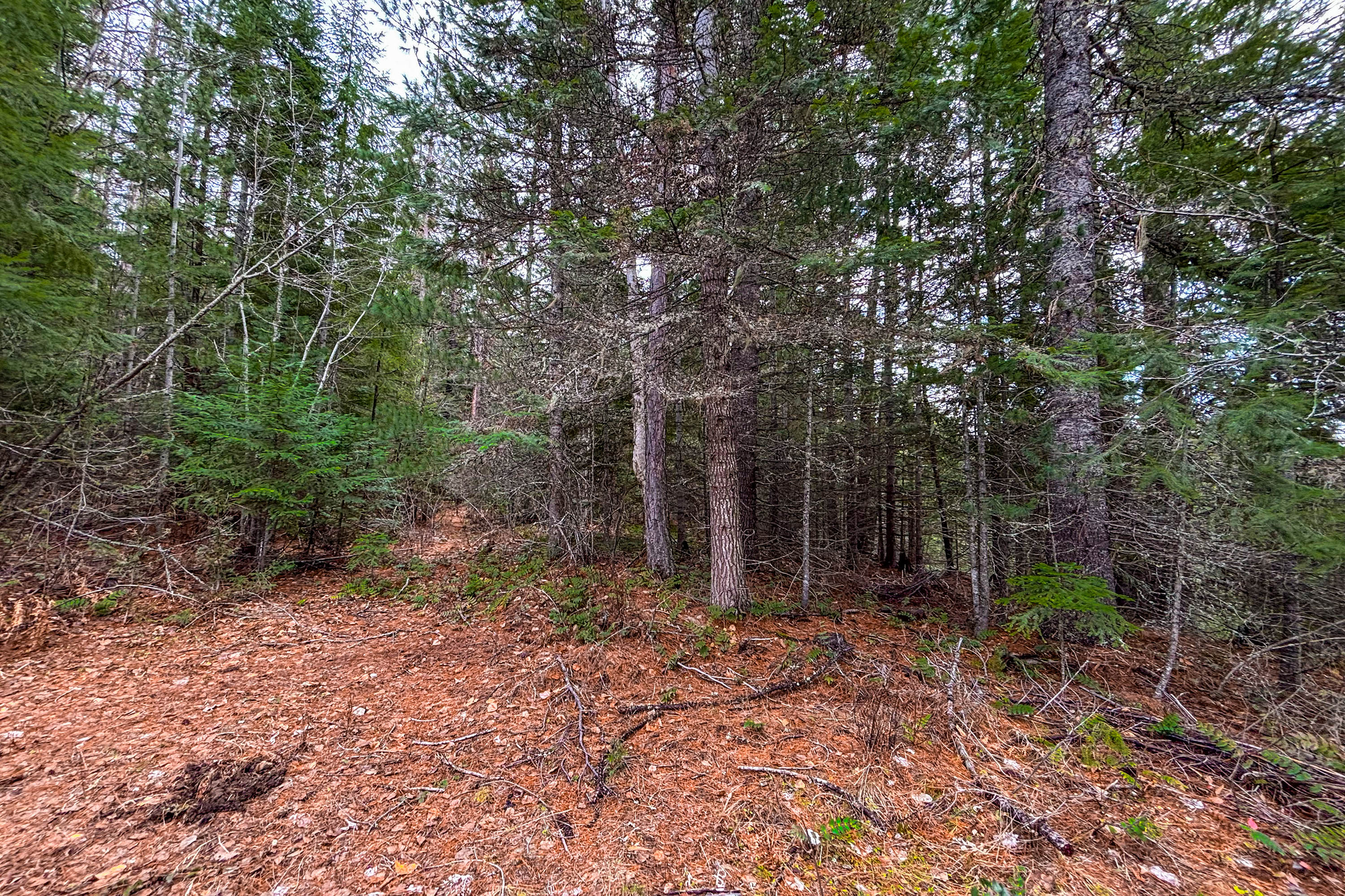 Sandpoint, Idaho, 83864, United States, ,Land,For Sale,2016068