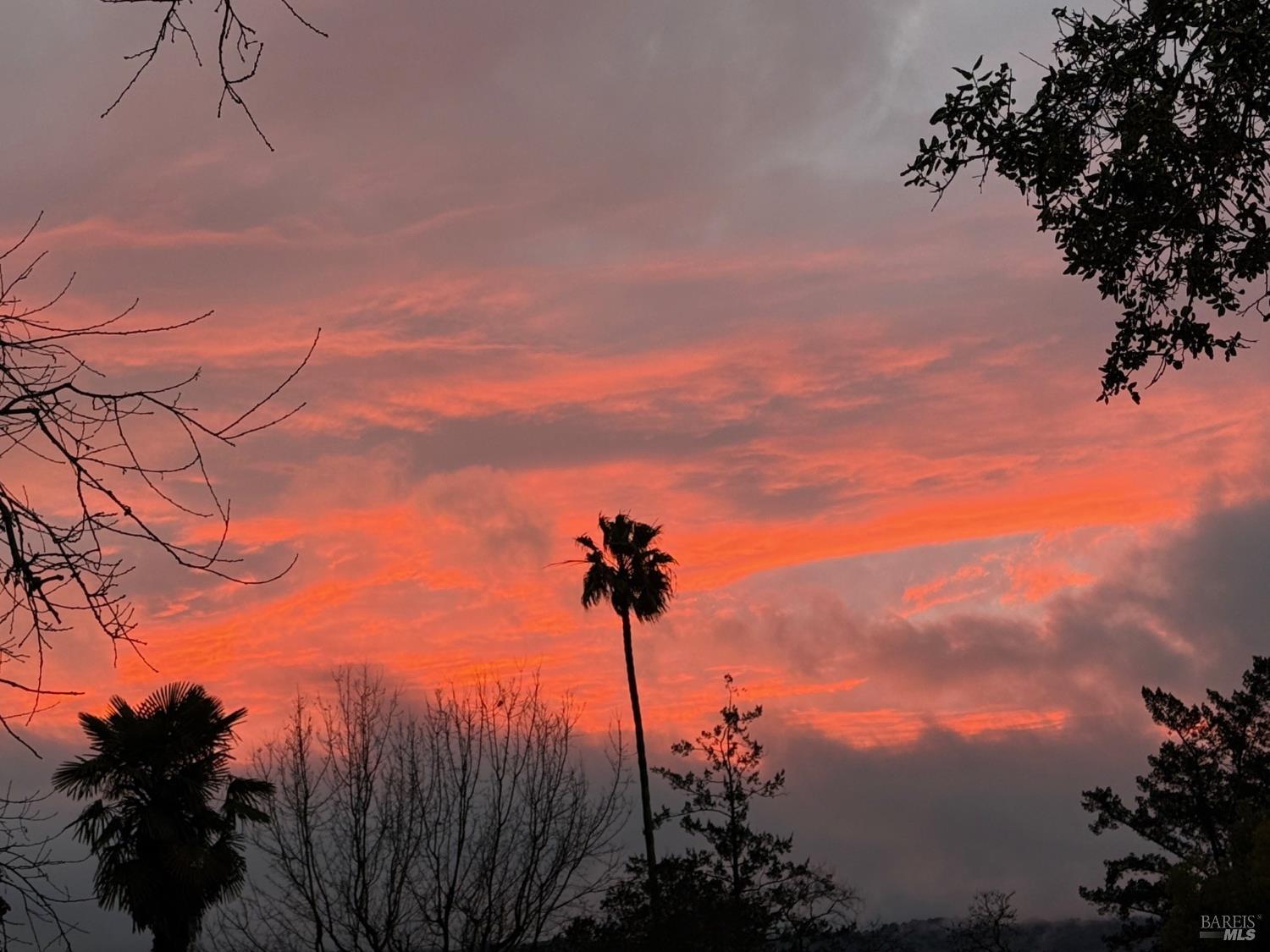 Napa, California, 94559, United States, 3 Bedrooms Bedrooms, ,3 BathroomsBathrooms,Residential,For Sale,1987942