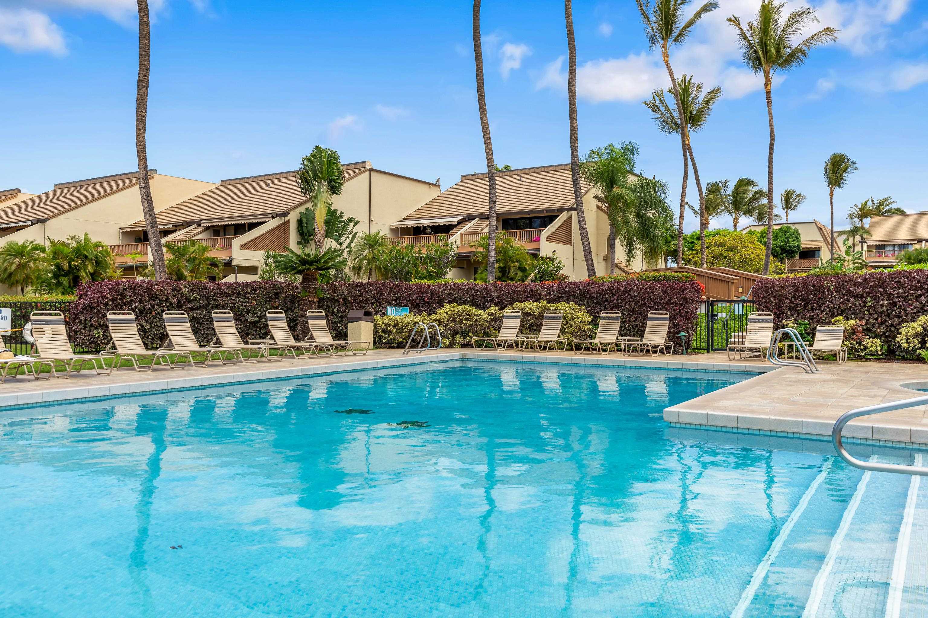 Kihei, Hawaii, 96753, United States, 1 Bedroom Bedrooms, ,2 BathroomsBathrooms,Residential,For Sale,2001614